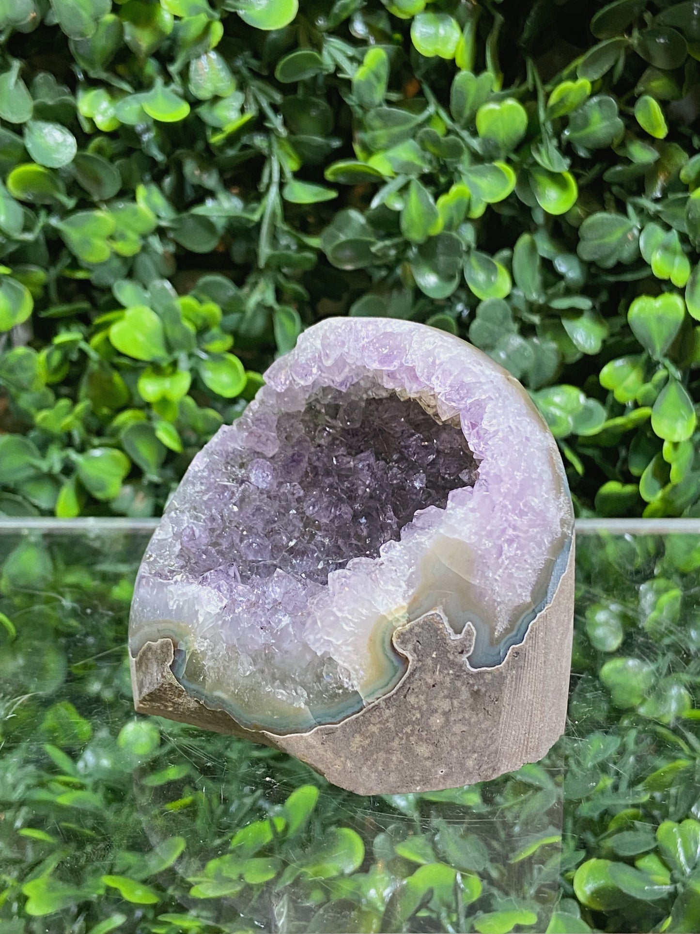 Amethyst Cluster Cut Base B