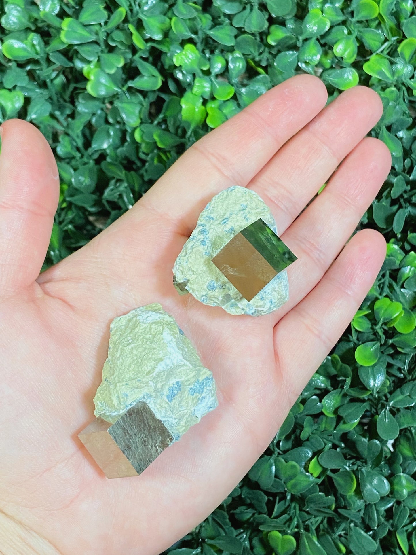 Pyrite Cube in Matrix