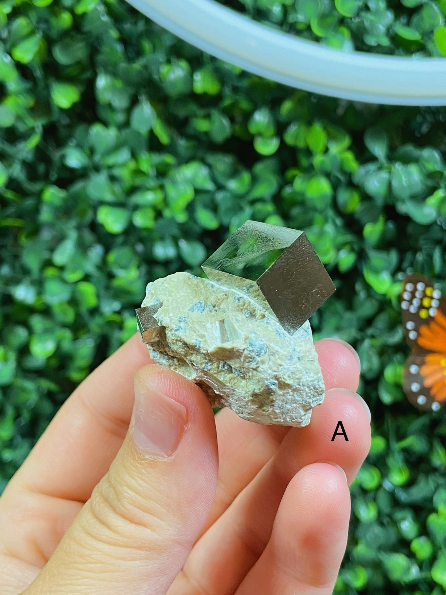 Pyrite Cube in Matrix