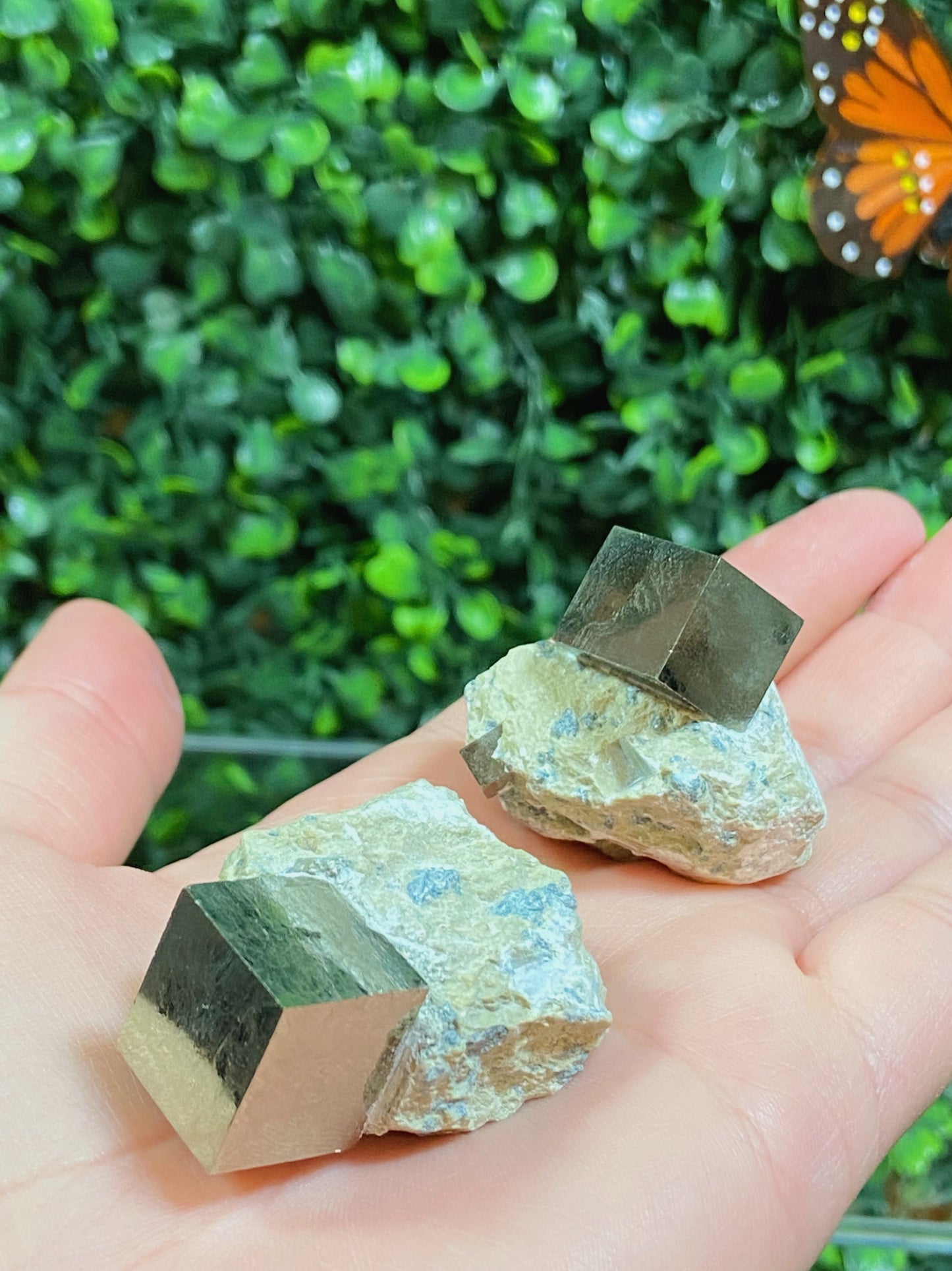Pyrite Cube in Matrix