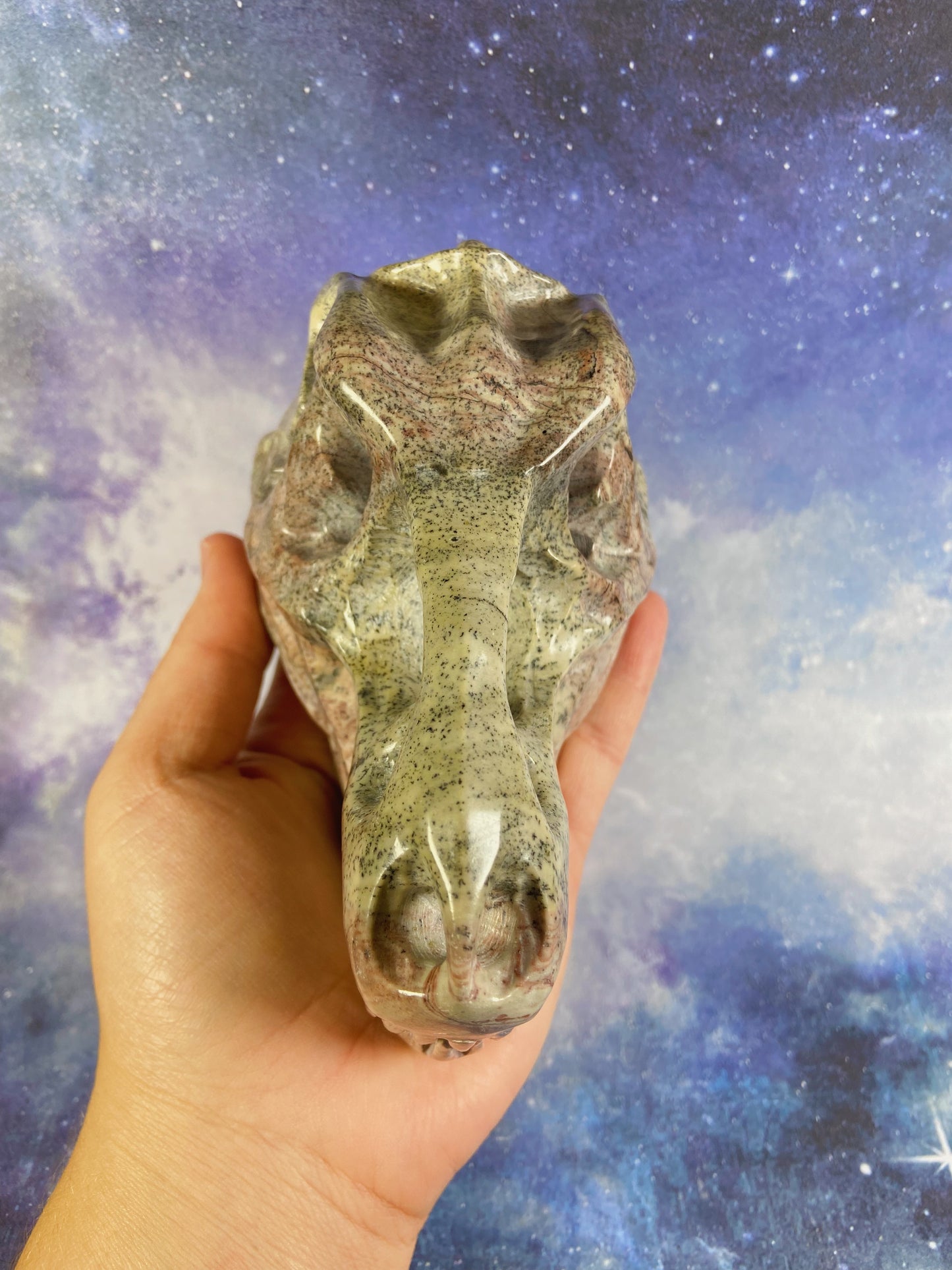 Picture Jasper Dinosaur Skull