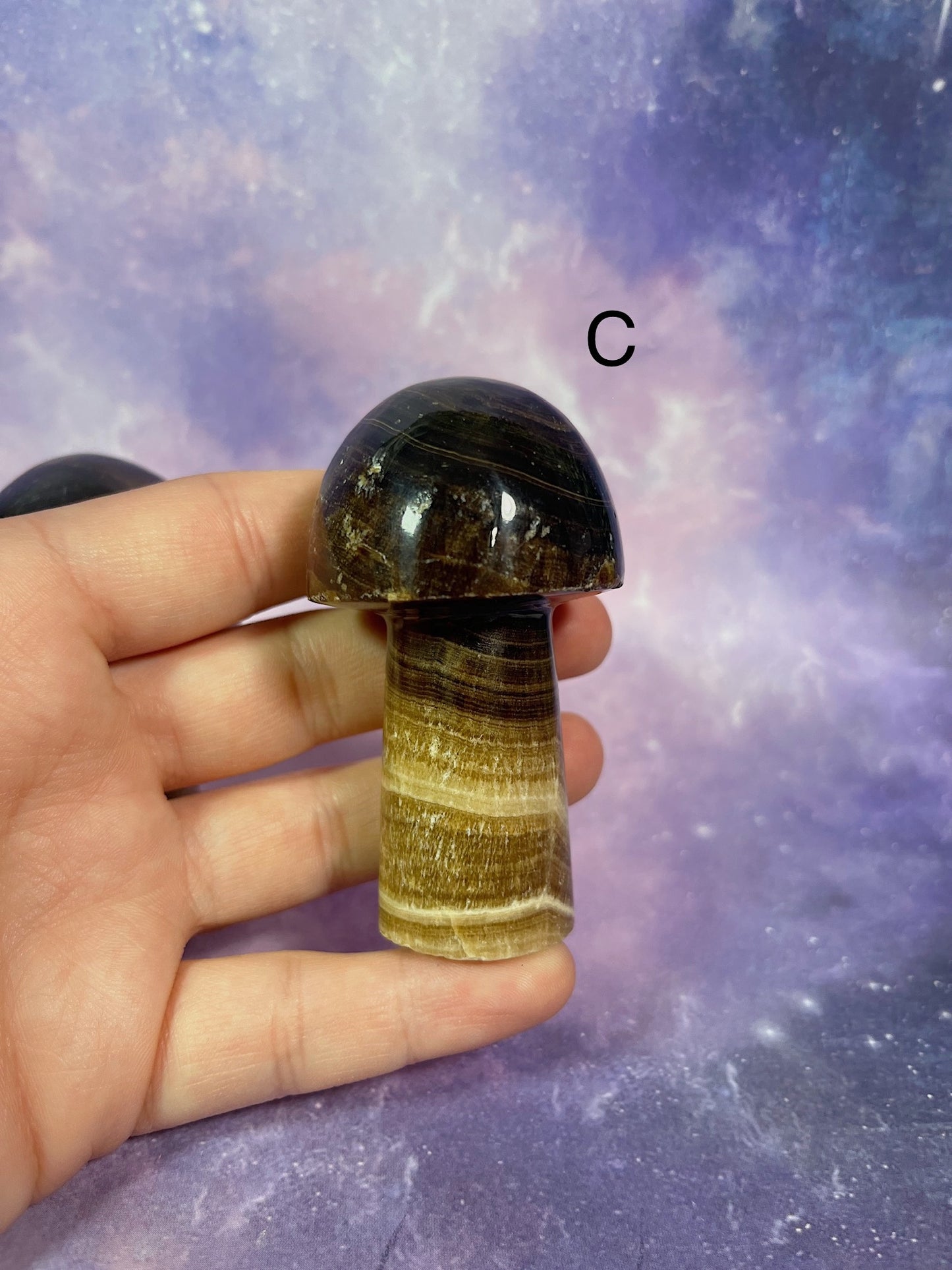 Chocolate Calcite Mushroom