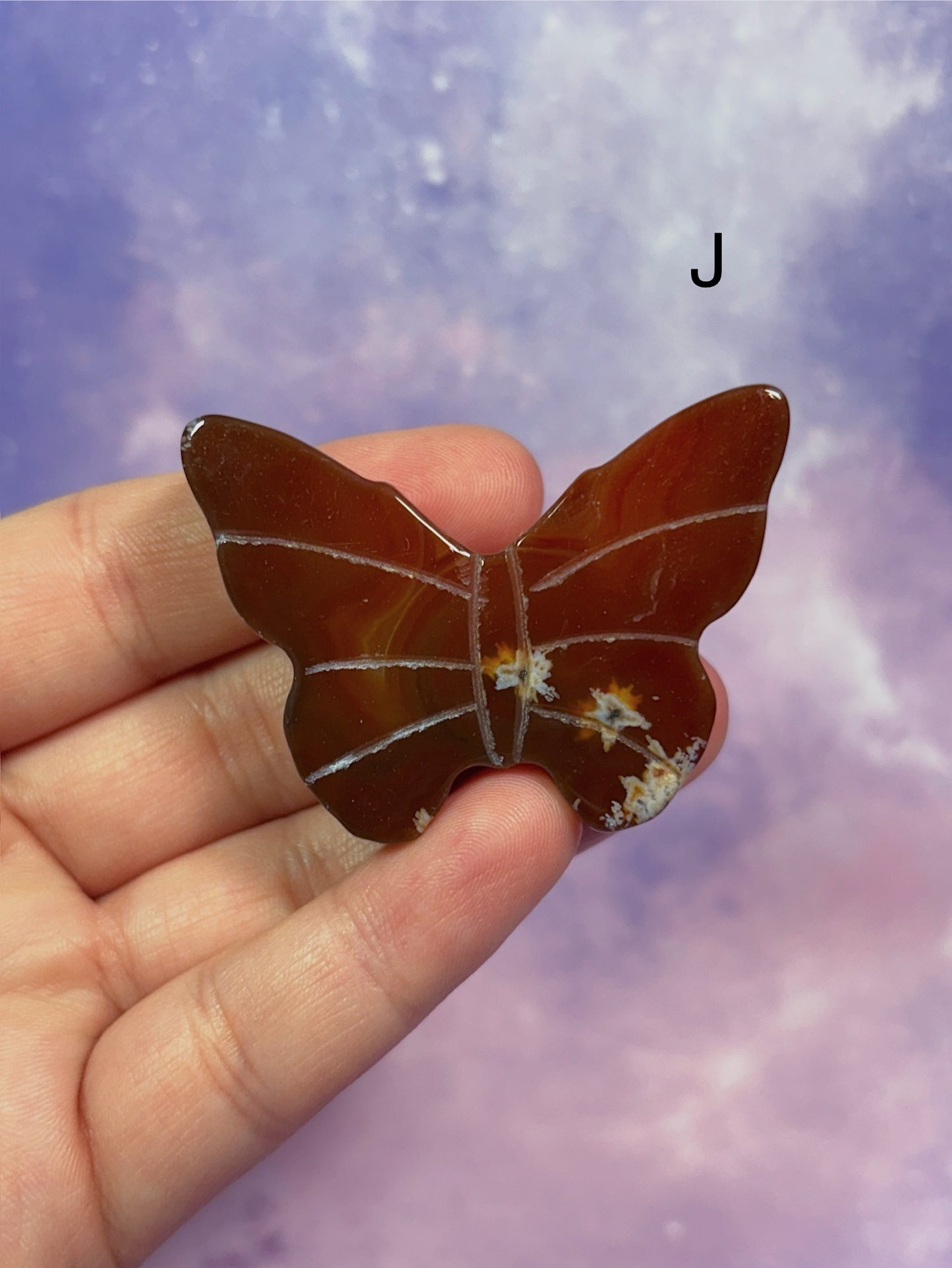 Carnelian Butterfly
