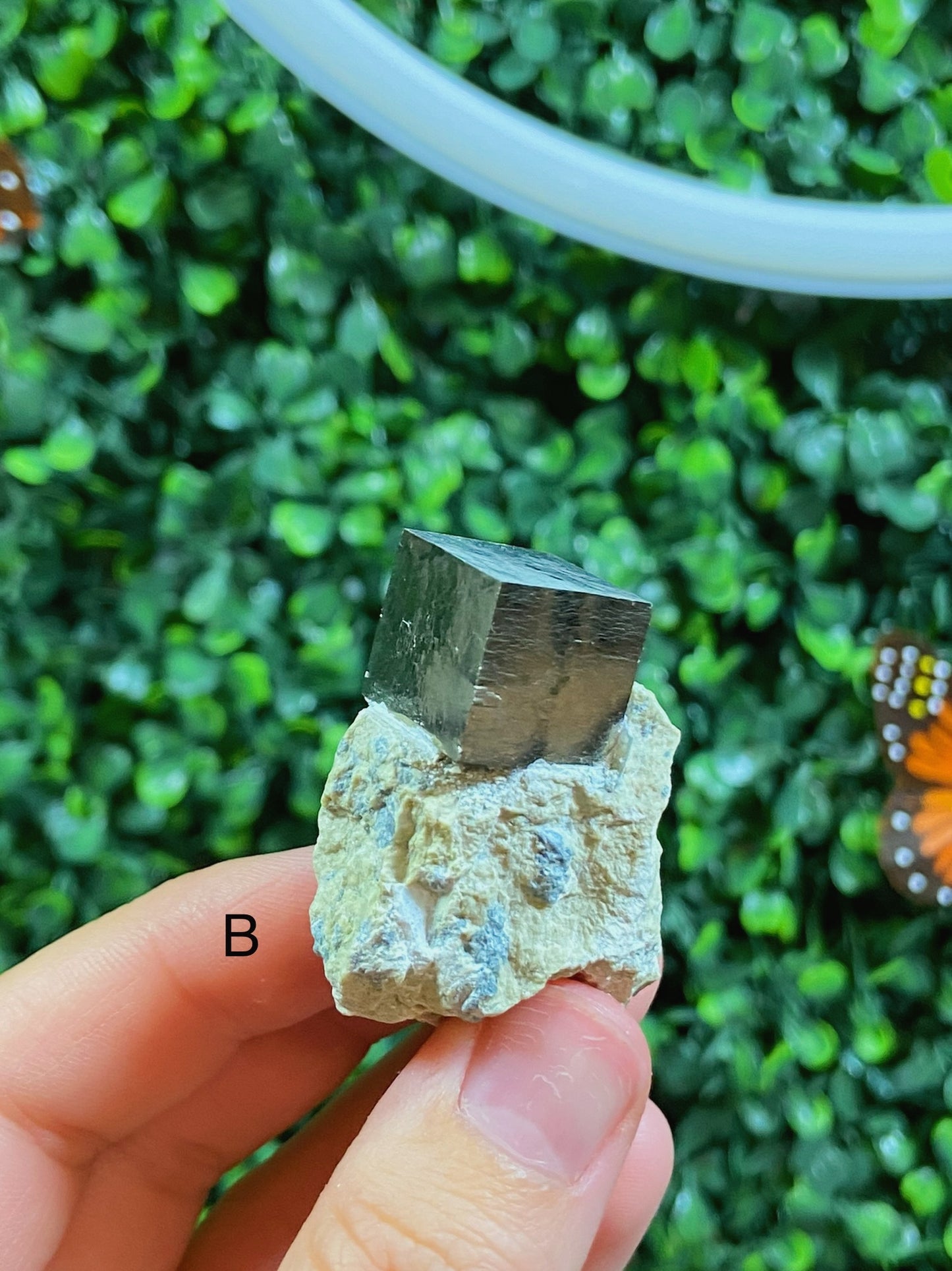 Pyrite Cube in Matrix