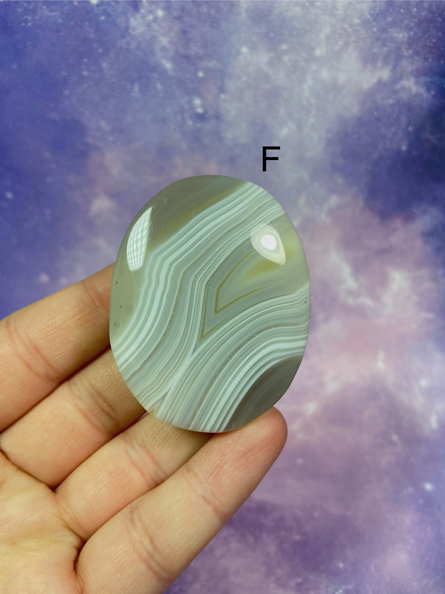Agate Palm Stones