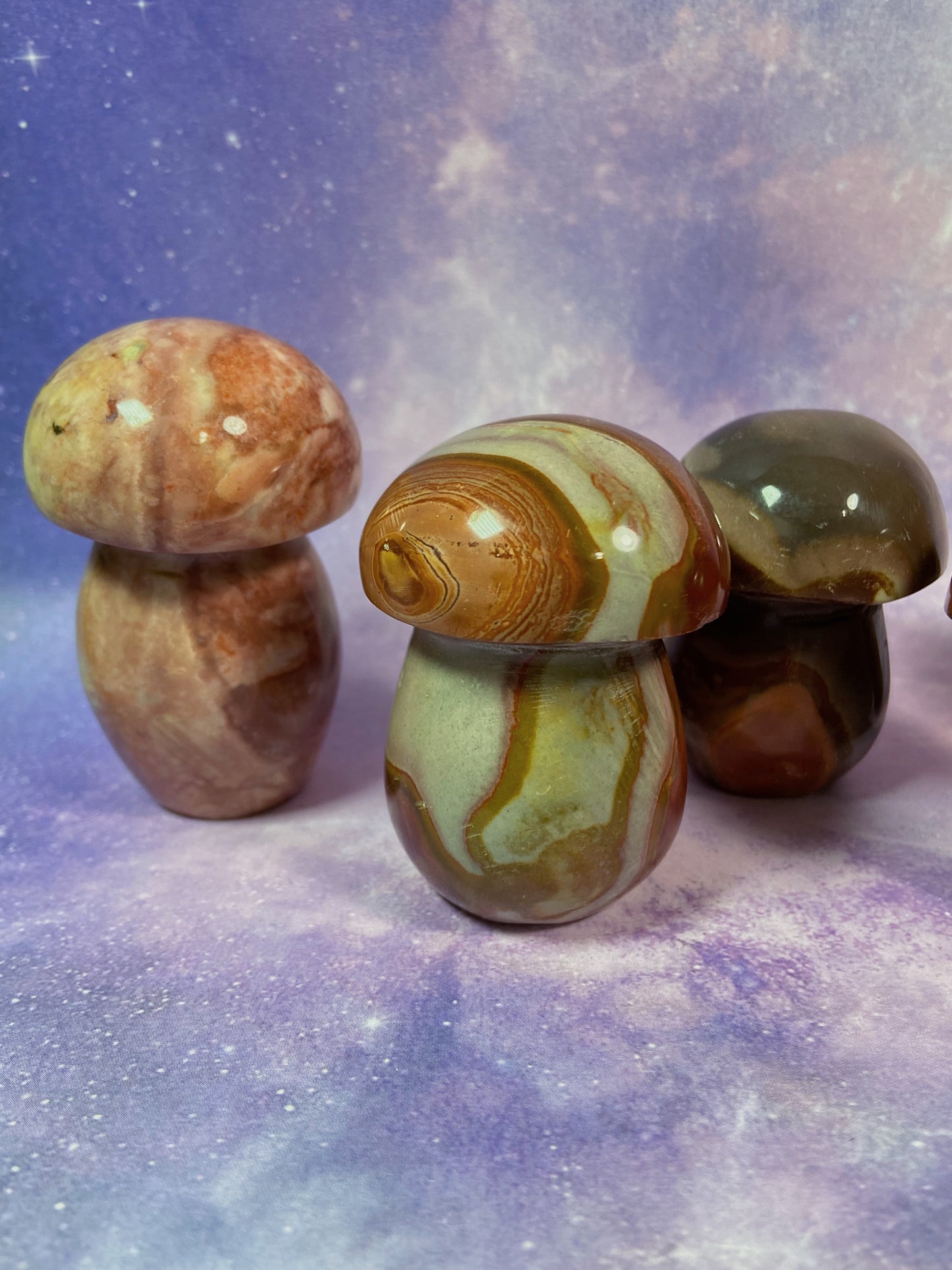 Polychrome Jasper Mushroom
