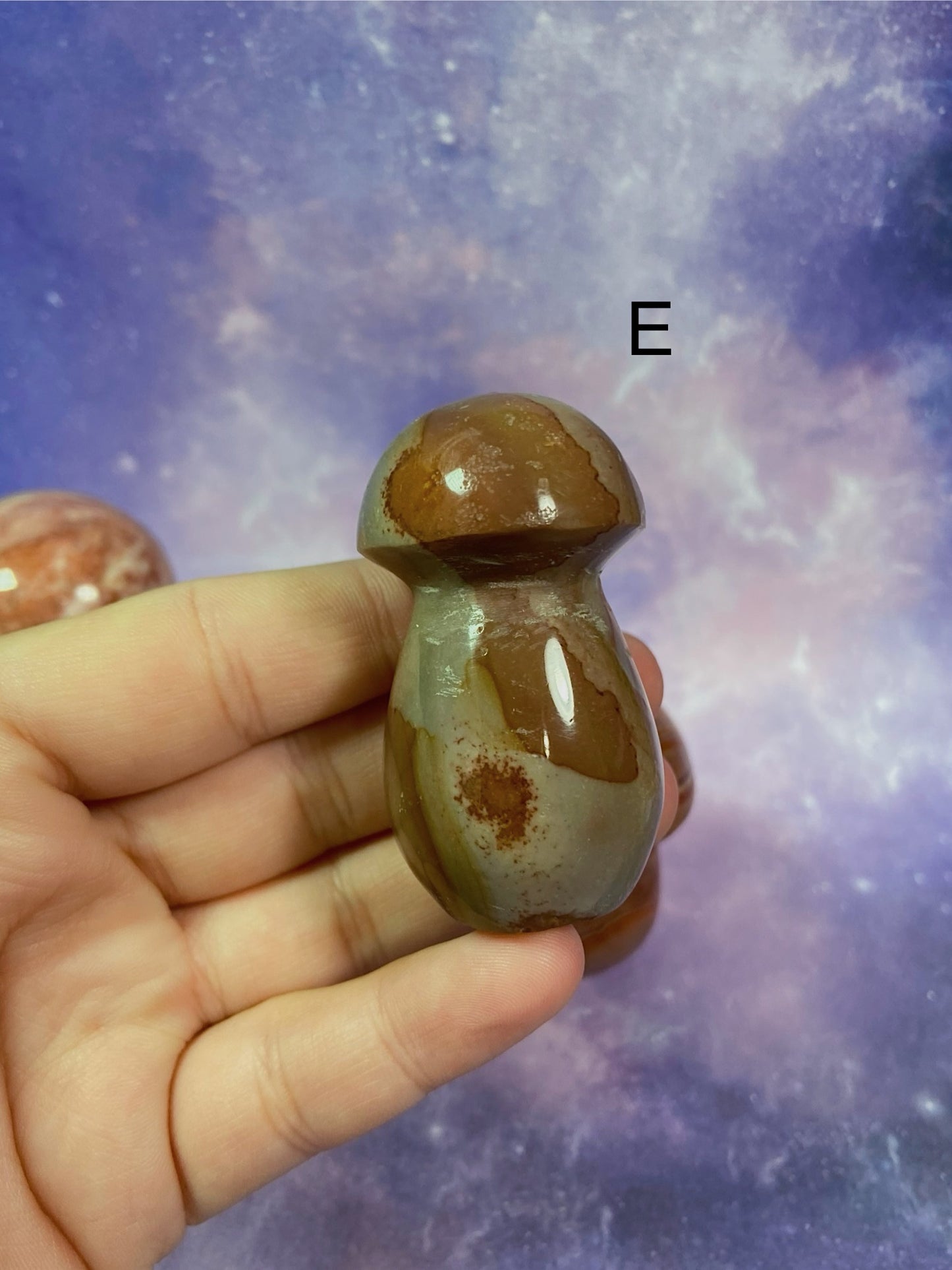 Polychrome Jasper Mushroom