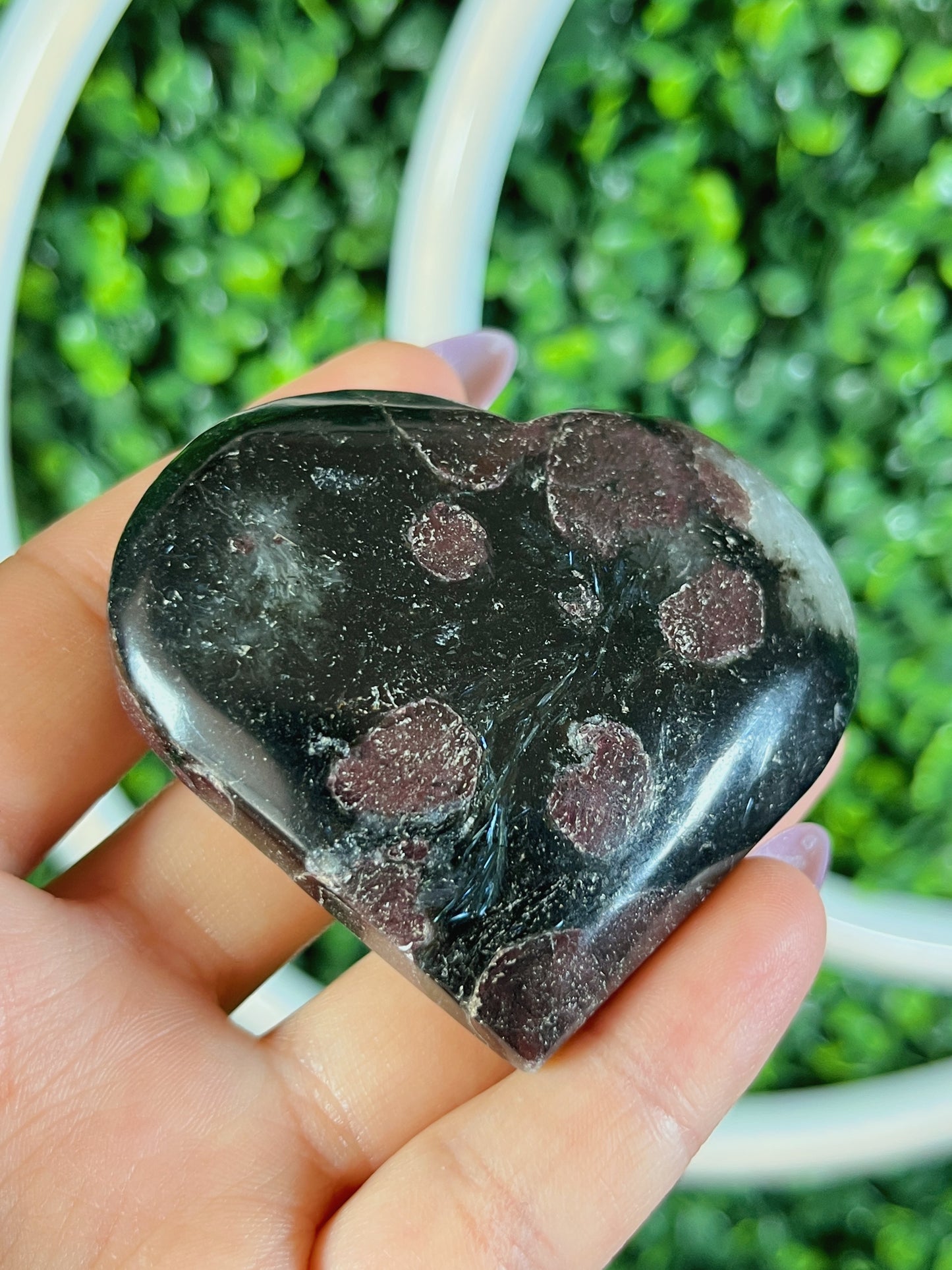 Ruby in Astrophyllite Heart