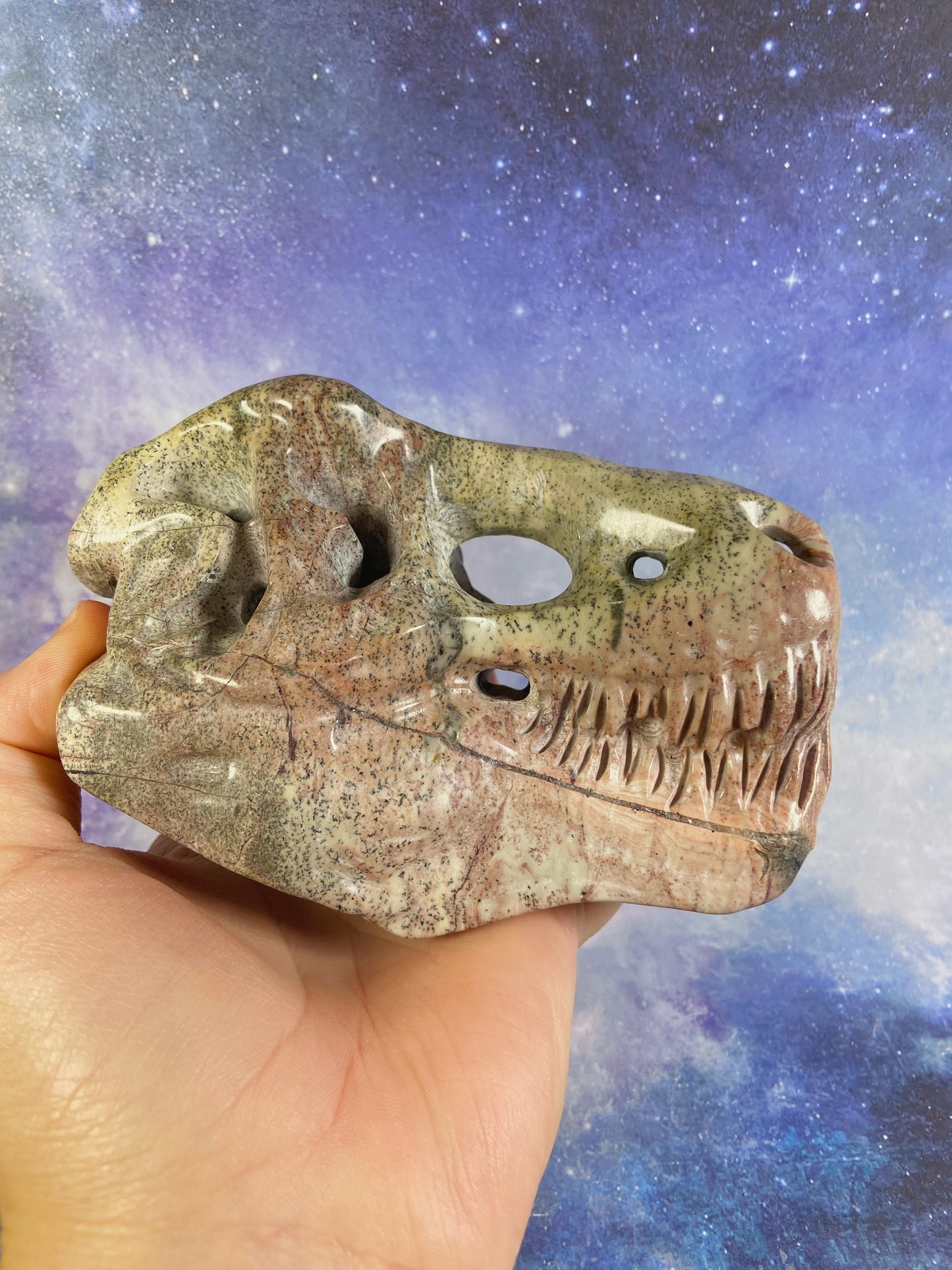 Picture Jasper Dinosaur Skull