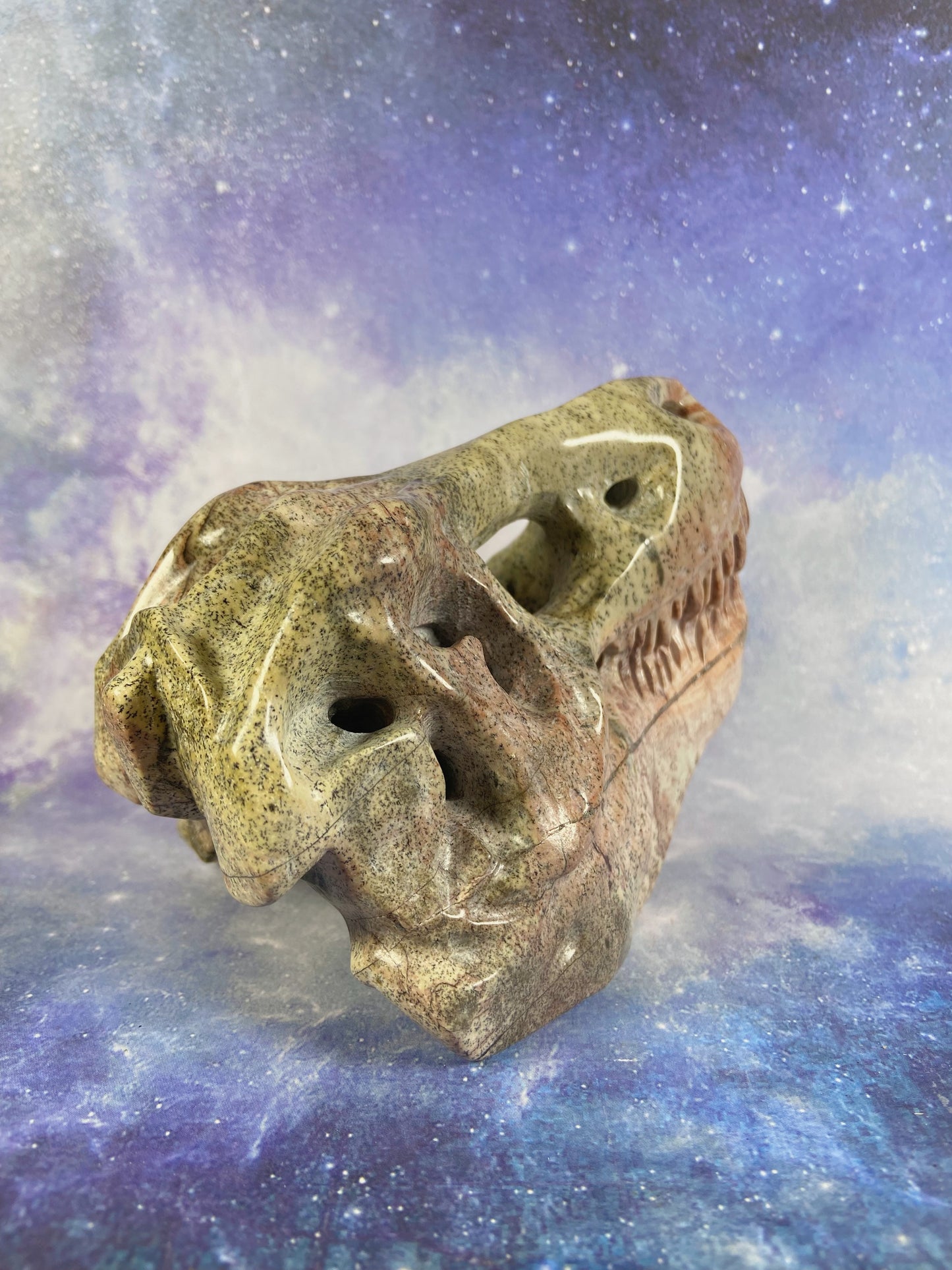 Picture Jasper Dinosaur Skull