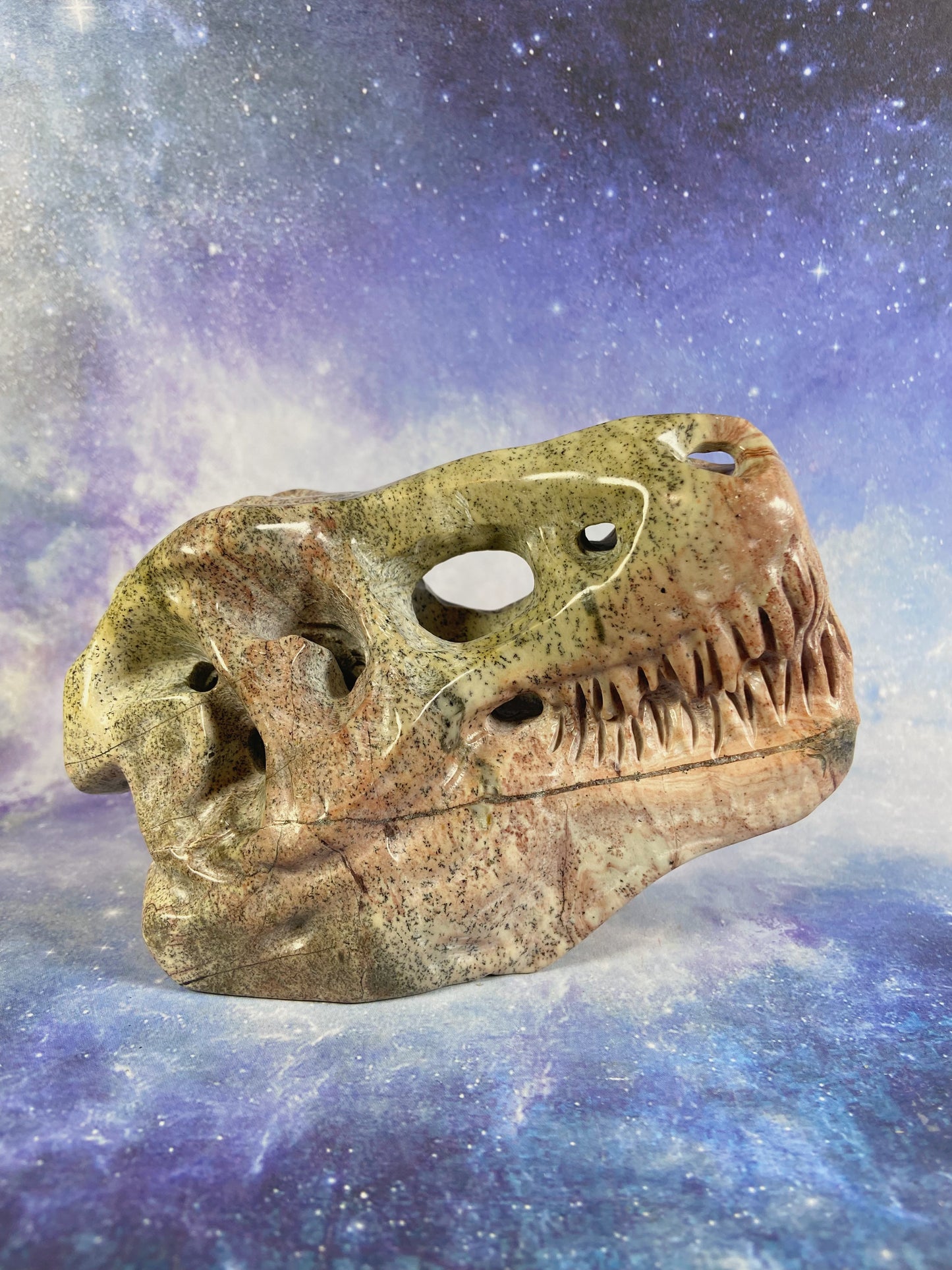 Picture Jasper Dinosaur Skull