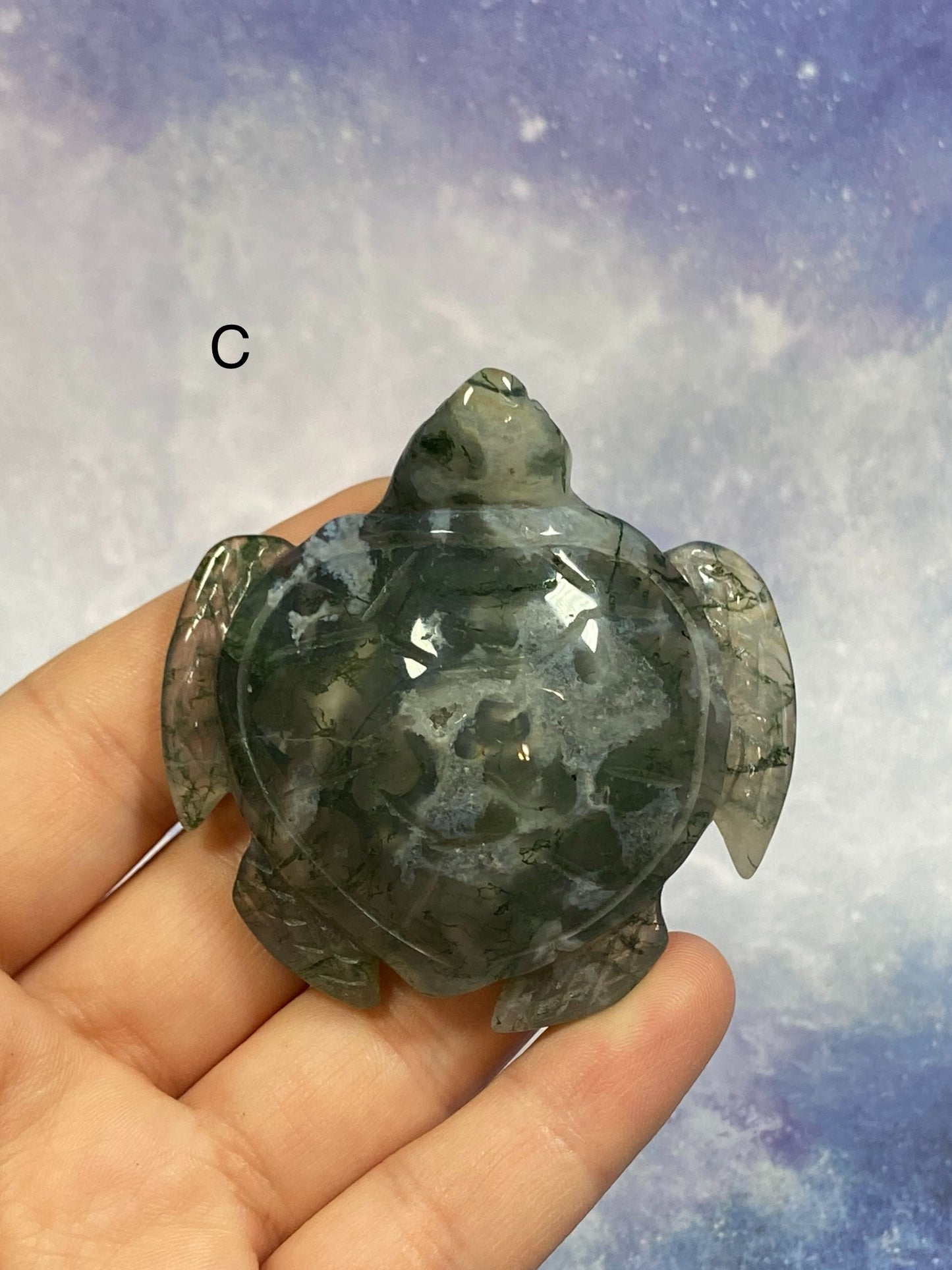 Moss Agate Turtle
