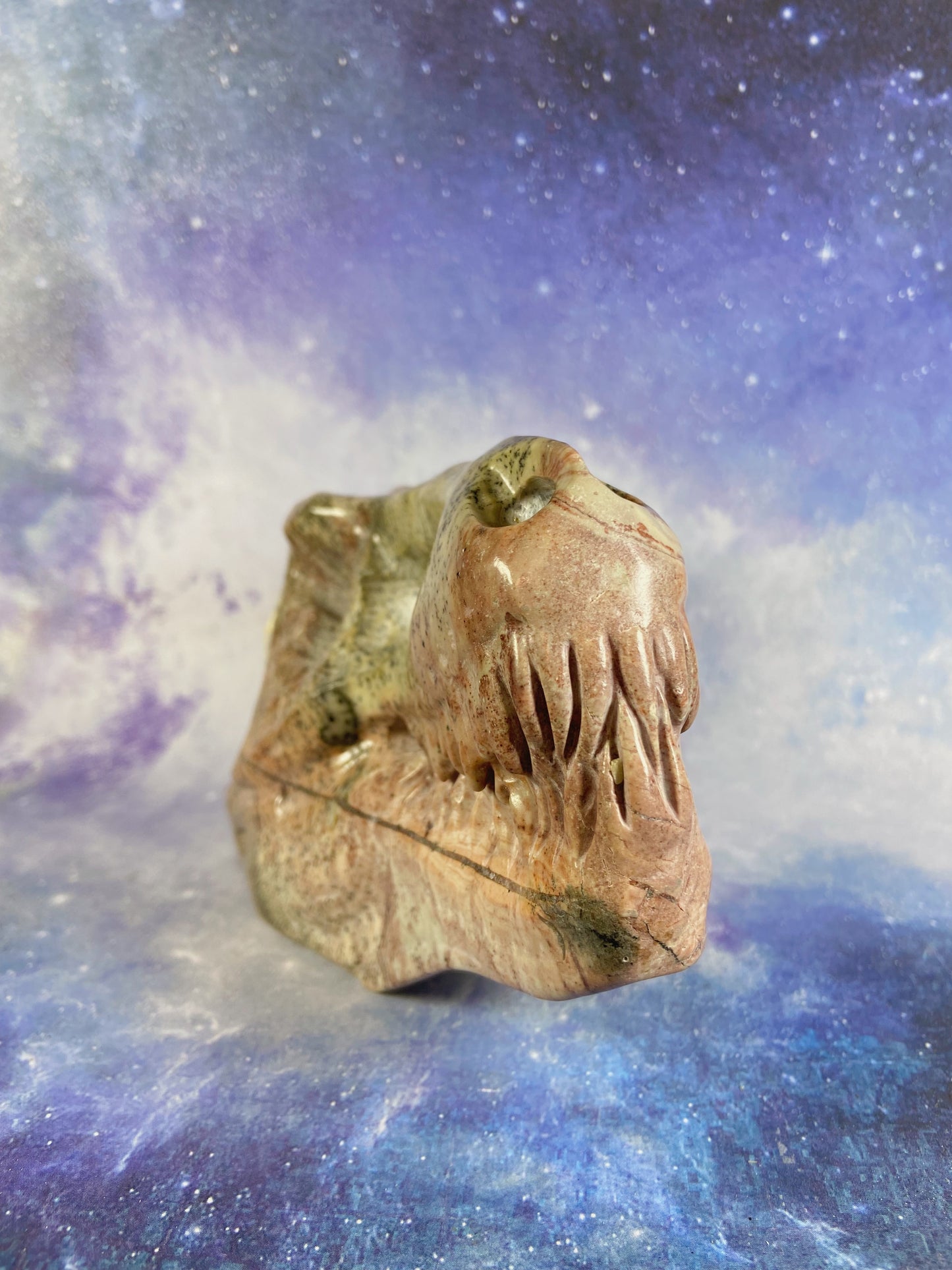 Picture Jasper Dinosaur Skull
