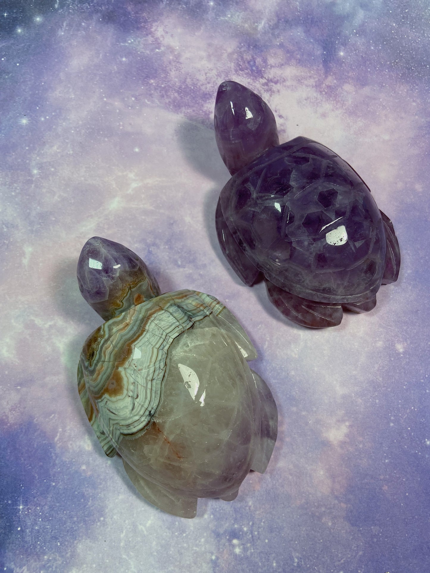 Crazy Lace Amethyst Sea Turtle