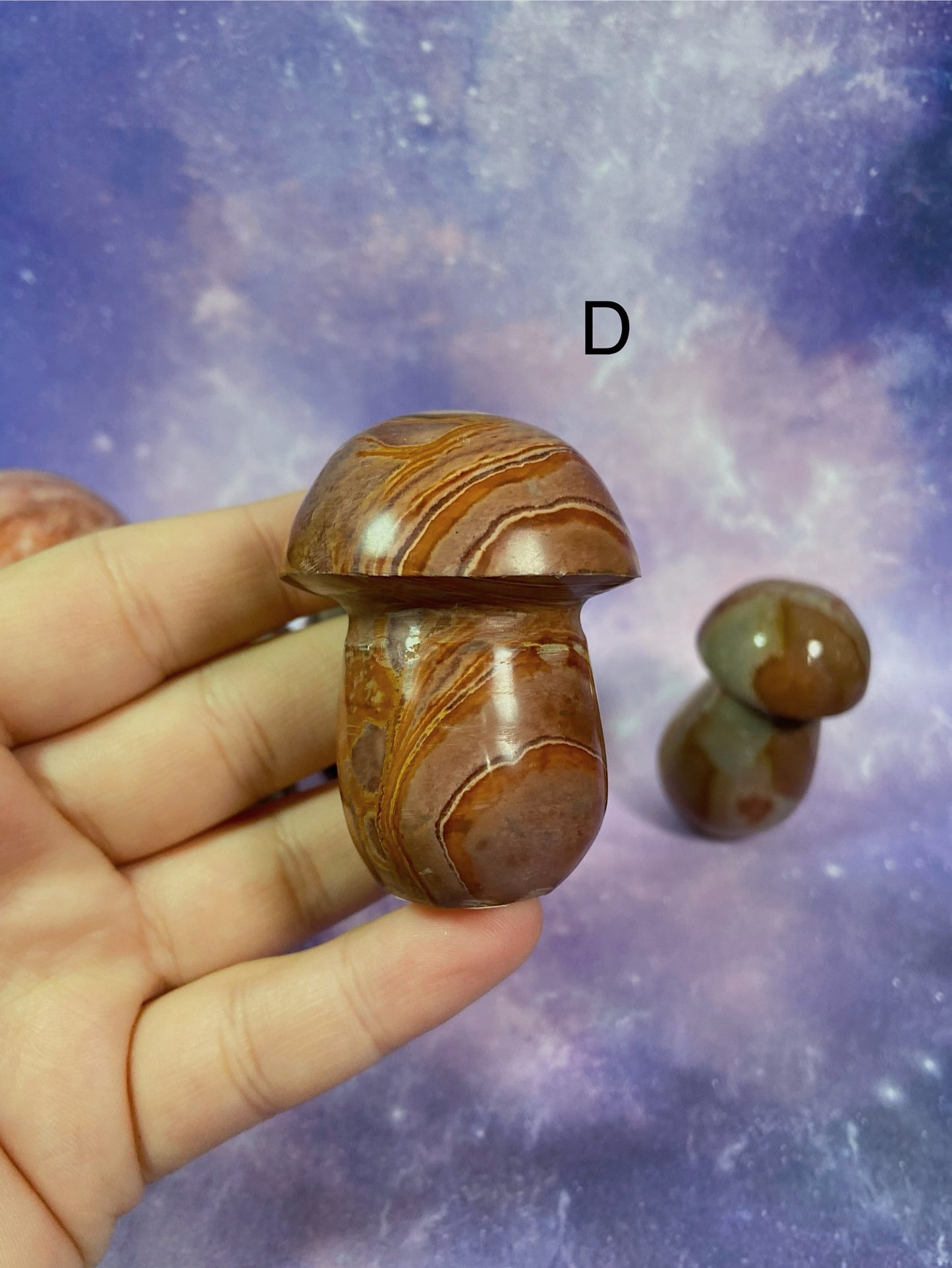 Polychrome Jasper Mushroom