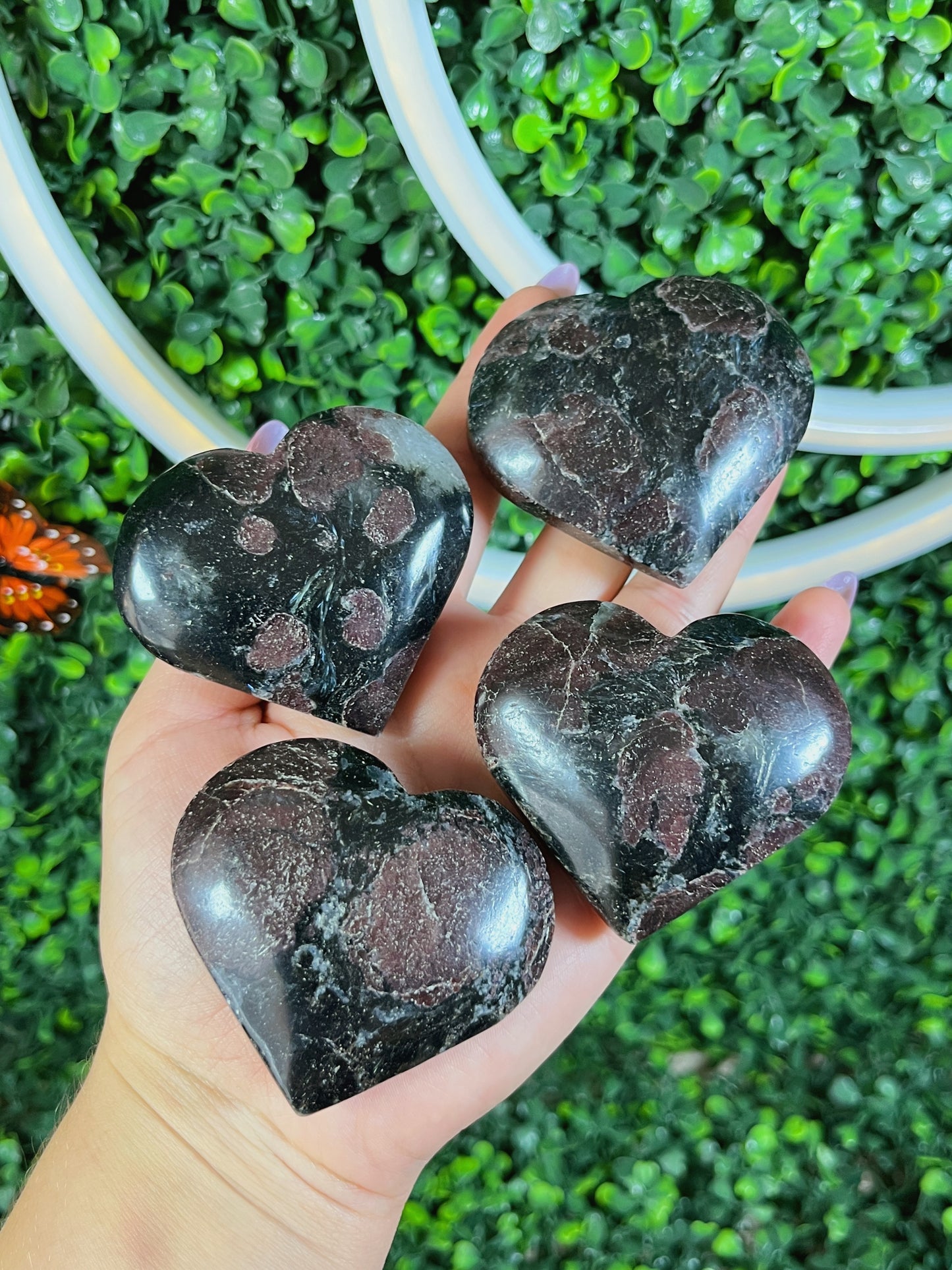Ruby in Astrophyllite Heart