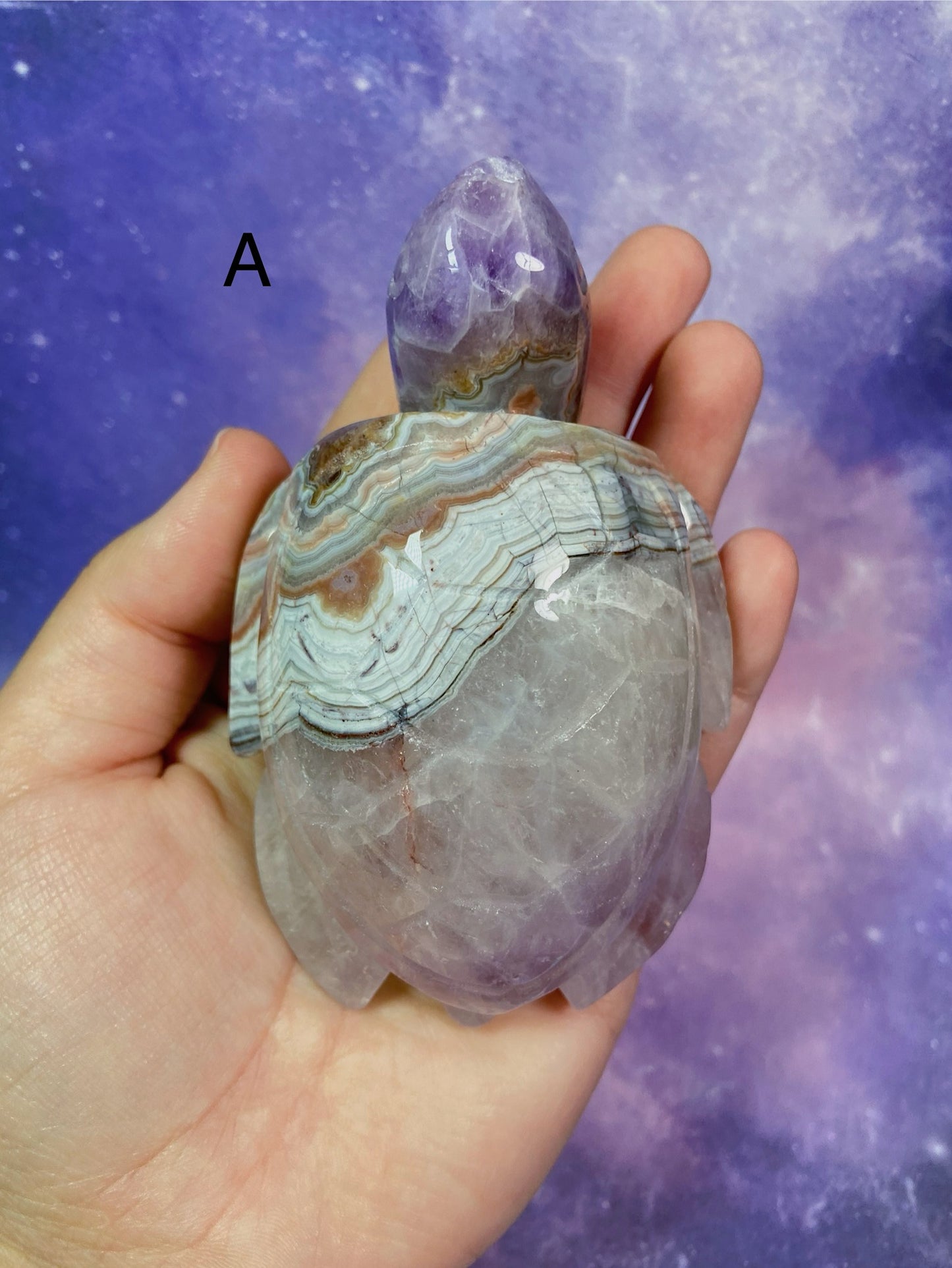 Crazy Lace Amethyst Sea Turtle