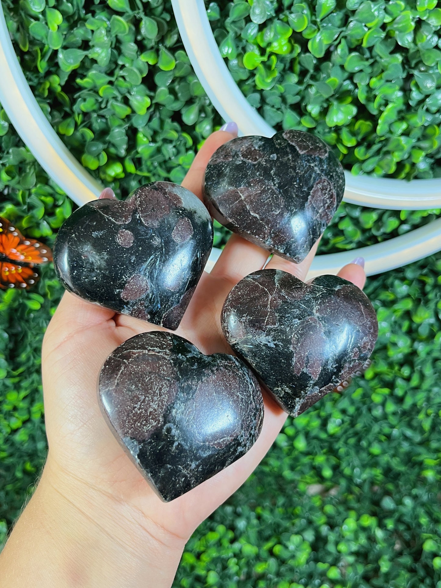 Ruby in Astrophyllite Heart
