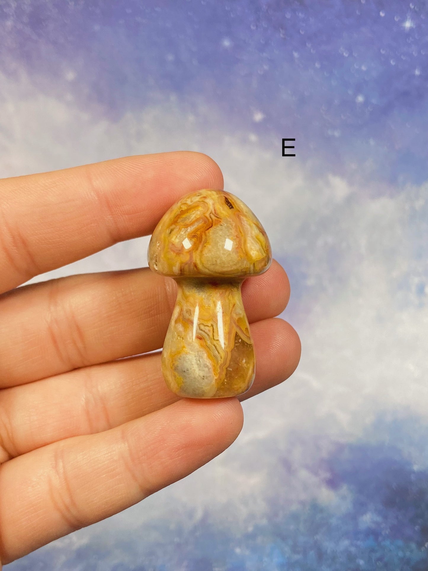 Crazy Lace Agate Mushrooms