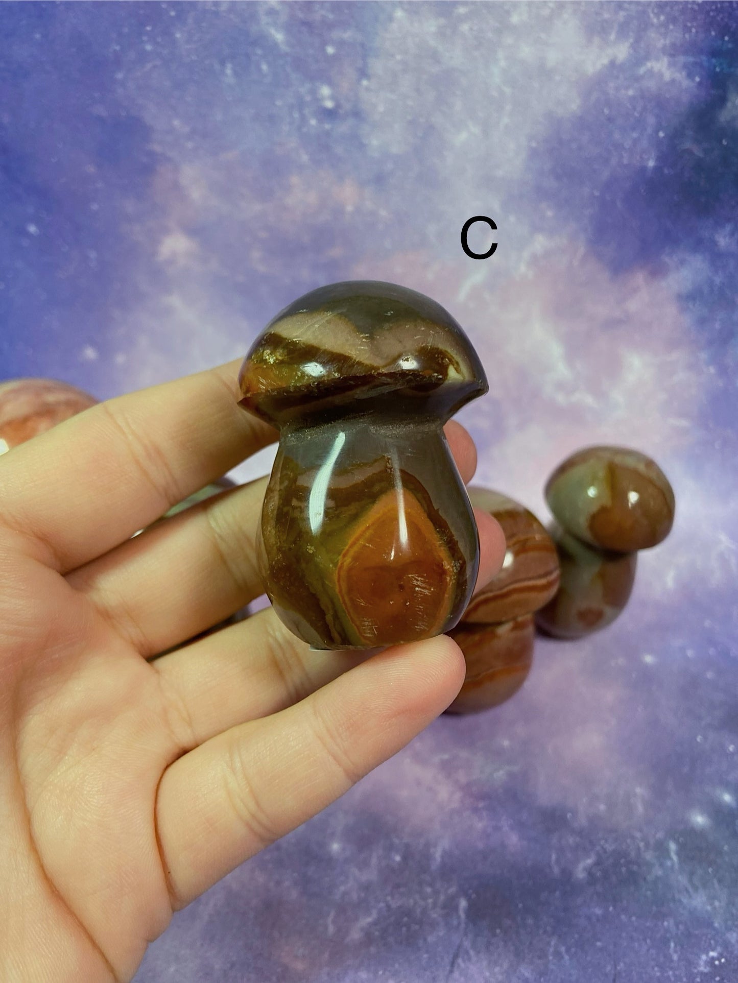Polychrome Jasper Mushroom