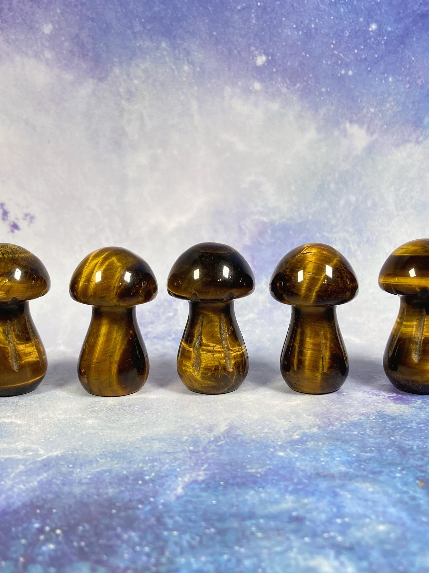 Tiger's Eye Mushroom