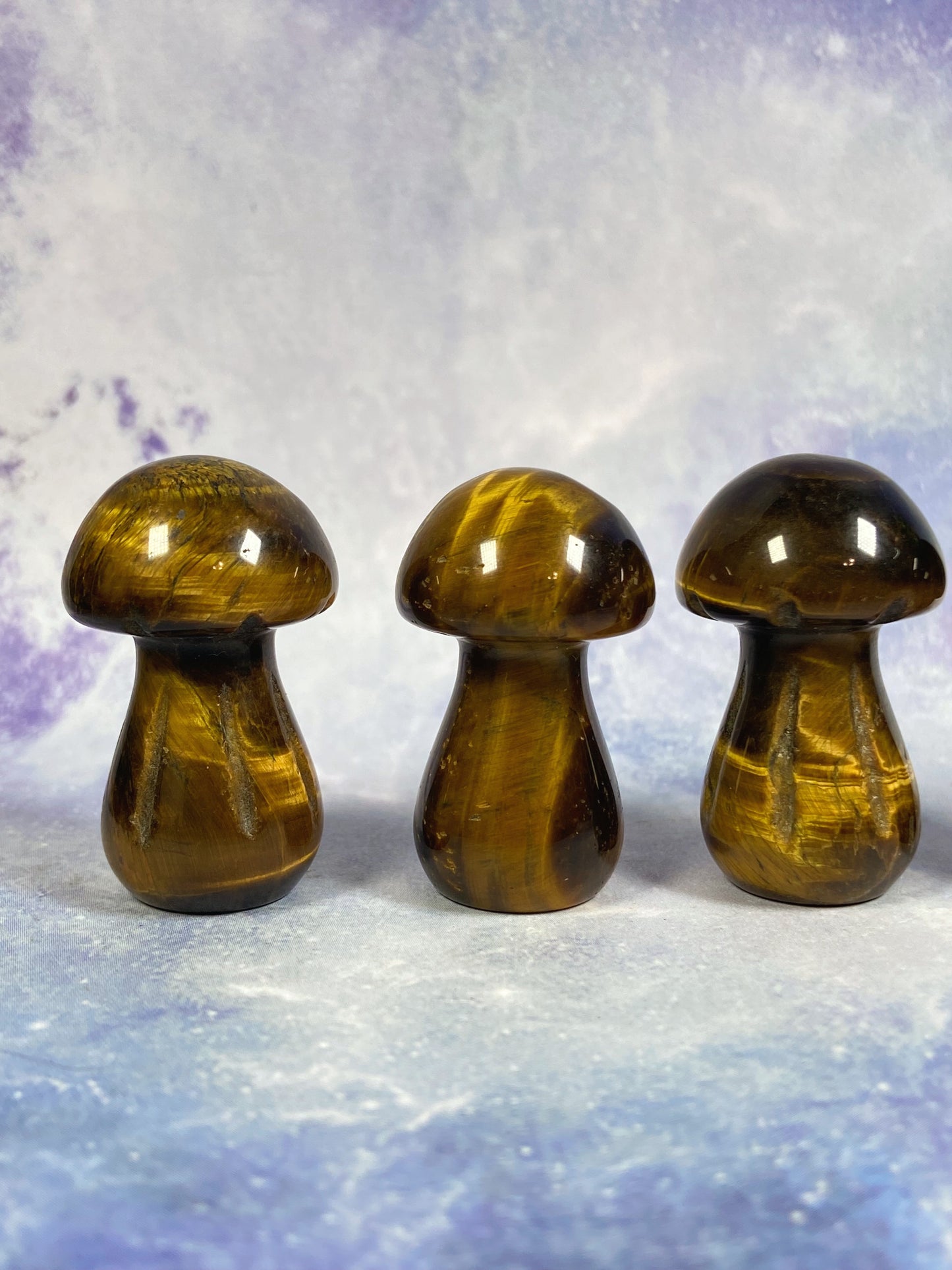 Tiger's Eye Mushroom