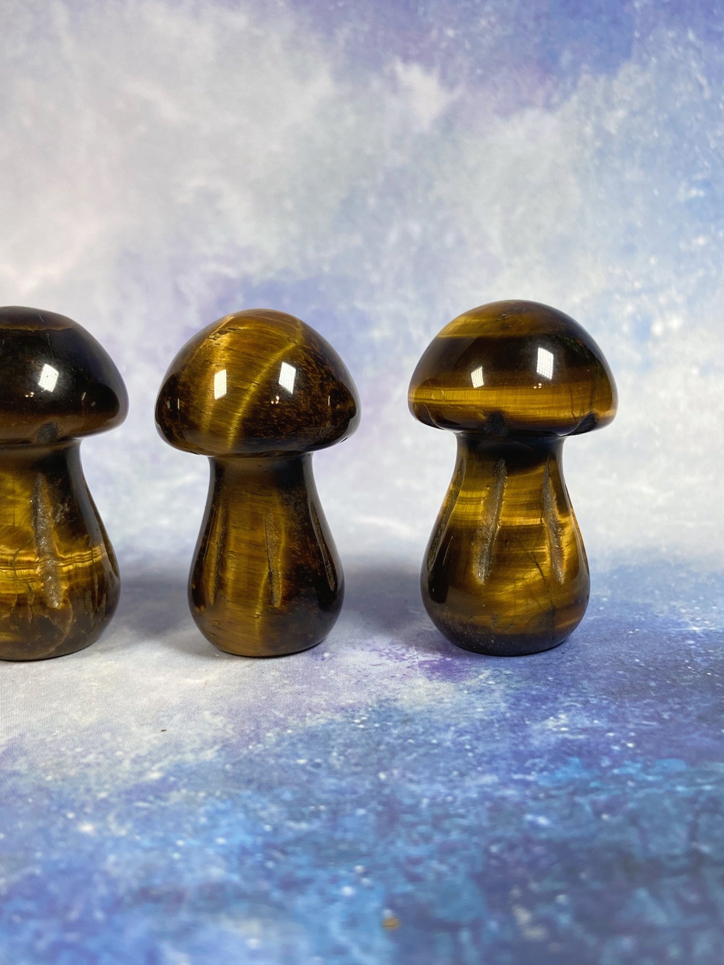 Tiger's Eye Mushroom