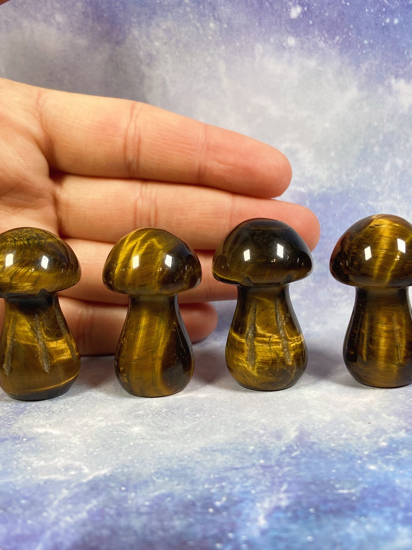 Tiger's Eye Mushroom