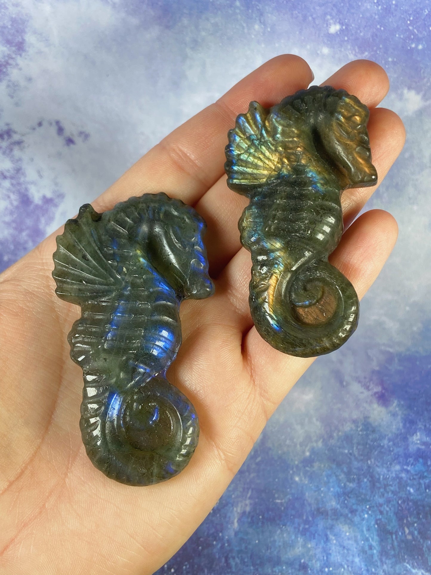 Labradorite Sea Horse