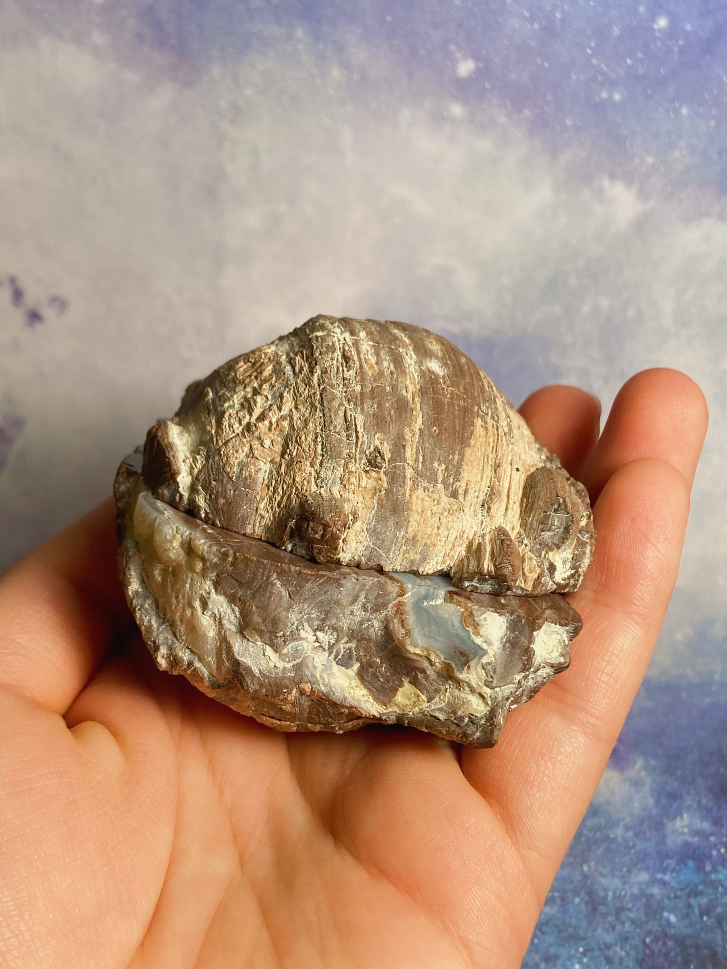 Druzy Agate Geode Set