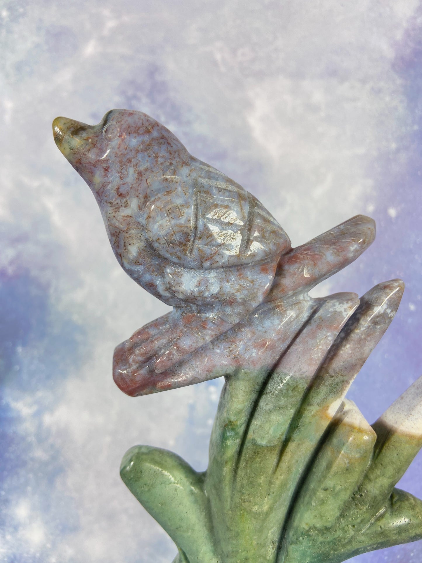 Ocean Jasper Bird on Tree A