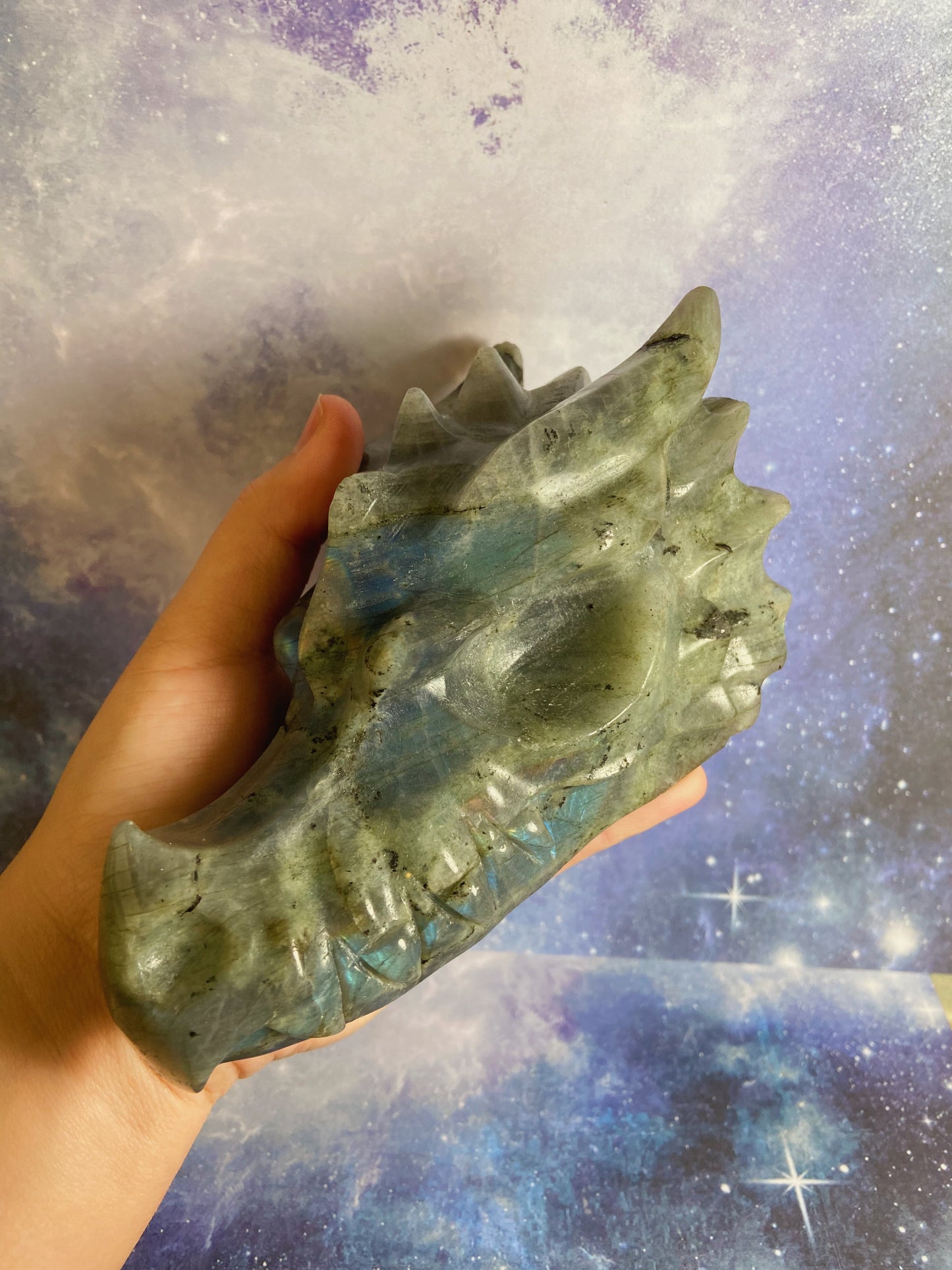 Big Labradorite Dragon Head