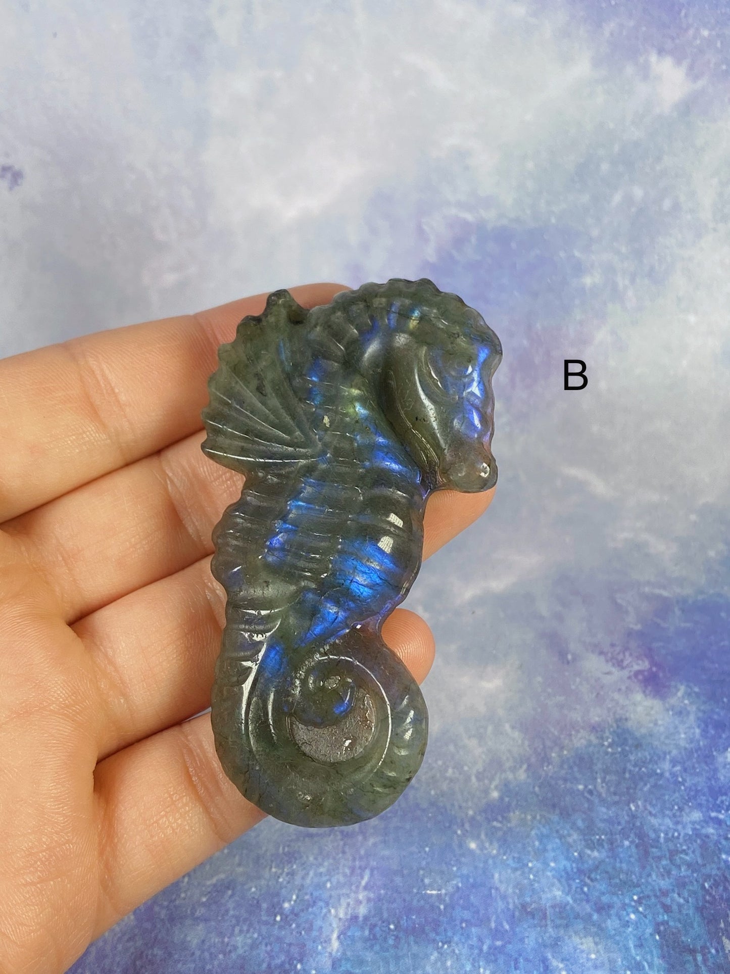 Labradorite Sea Horse
