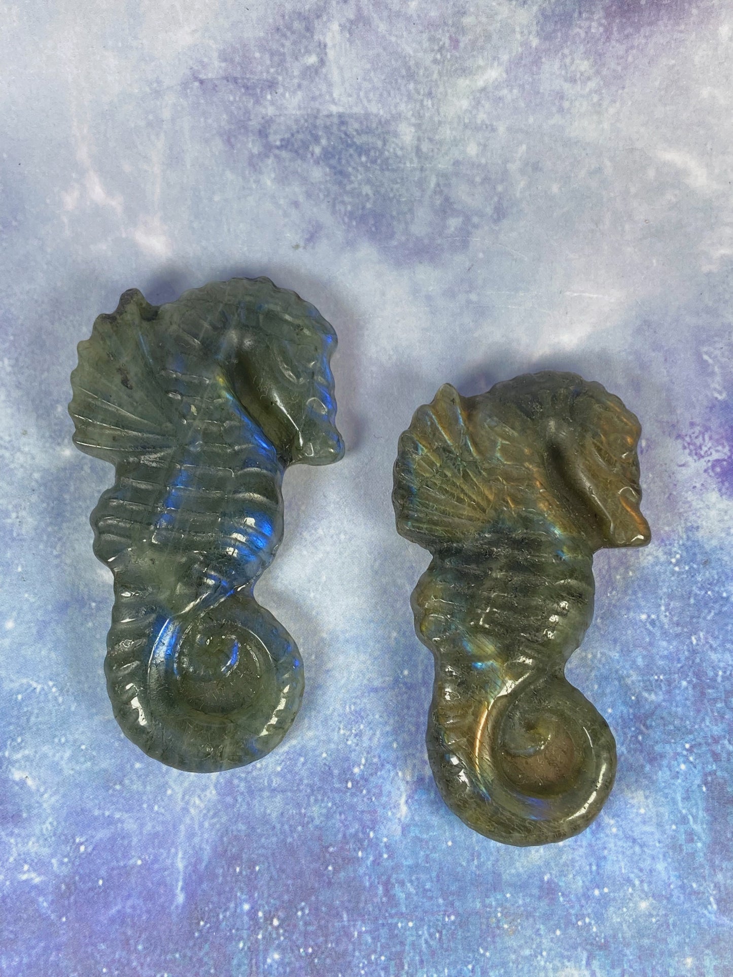 Labradorite Sea Horse