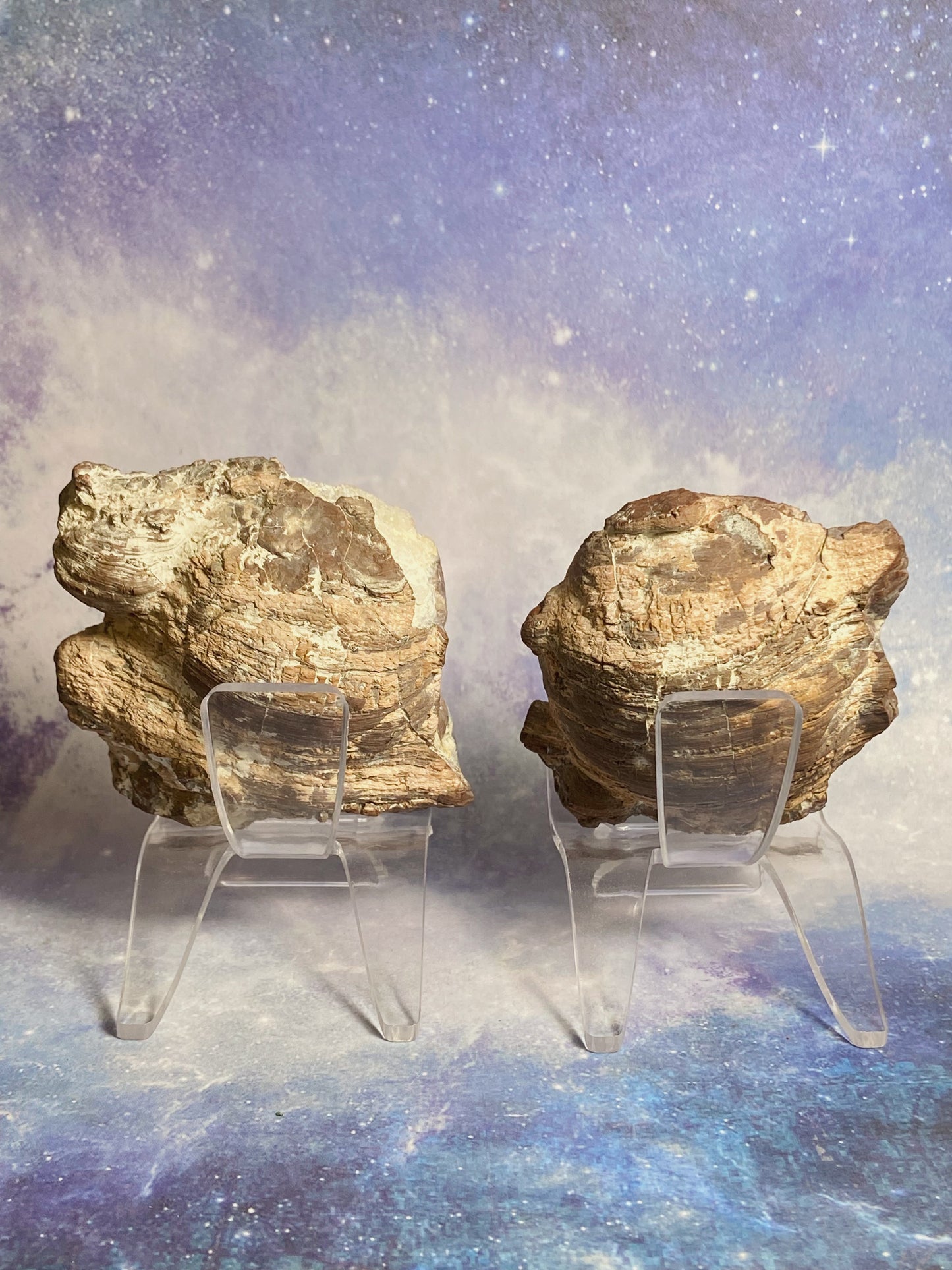 Druzy Agate Geode Set