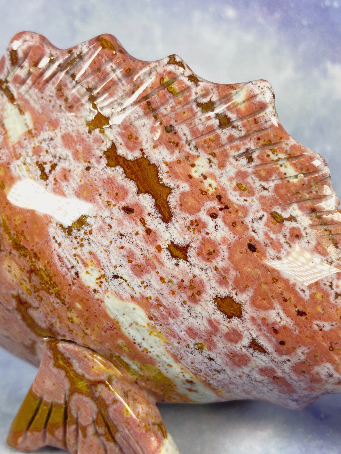 Pink Ocean Jasper Fish