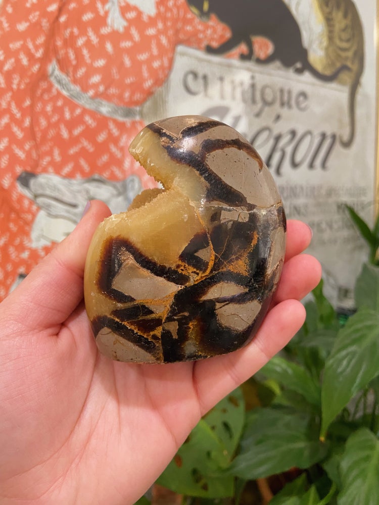Druzy Septerian Free Form