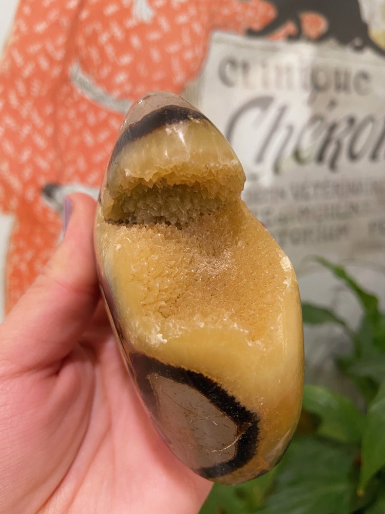 Druzy Septerian Free Form
