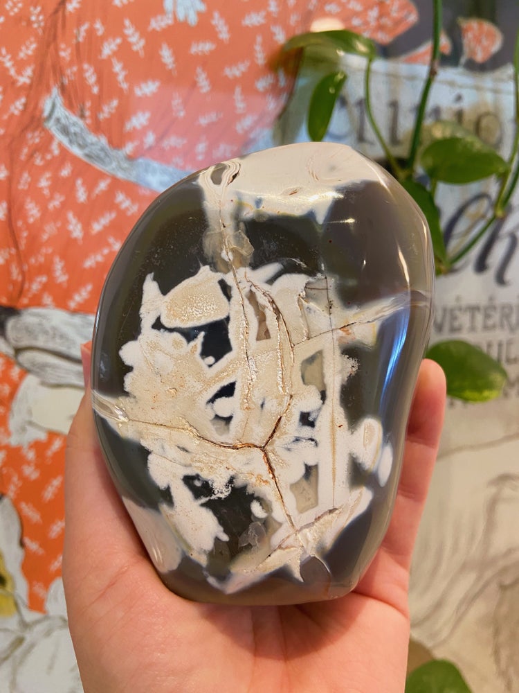 Orca Agate Freeform