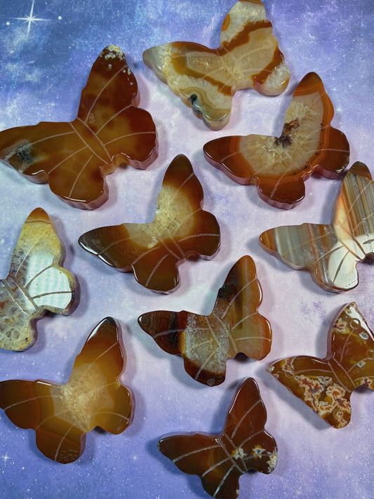 Carnelian Butterfly