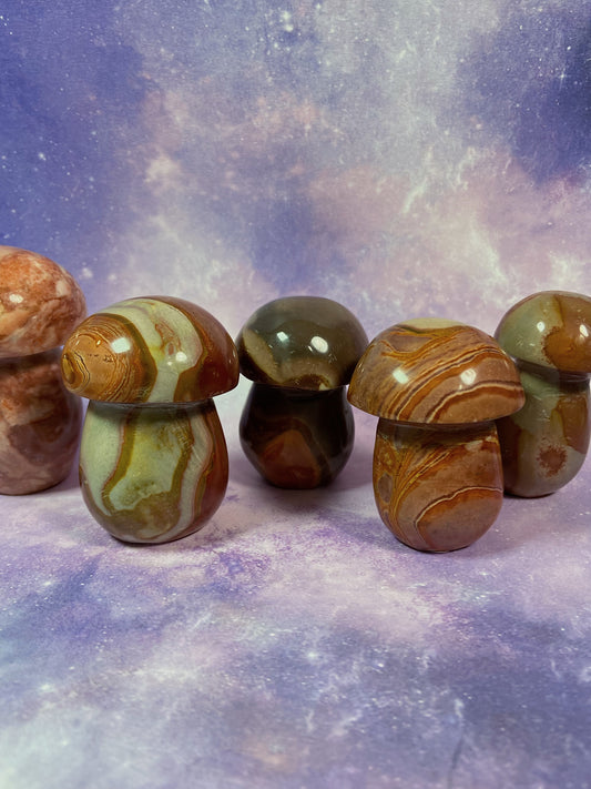 Polychrome Jasper Mushroom