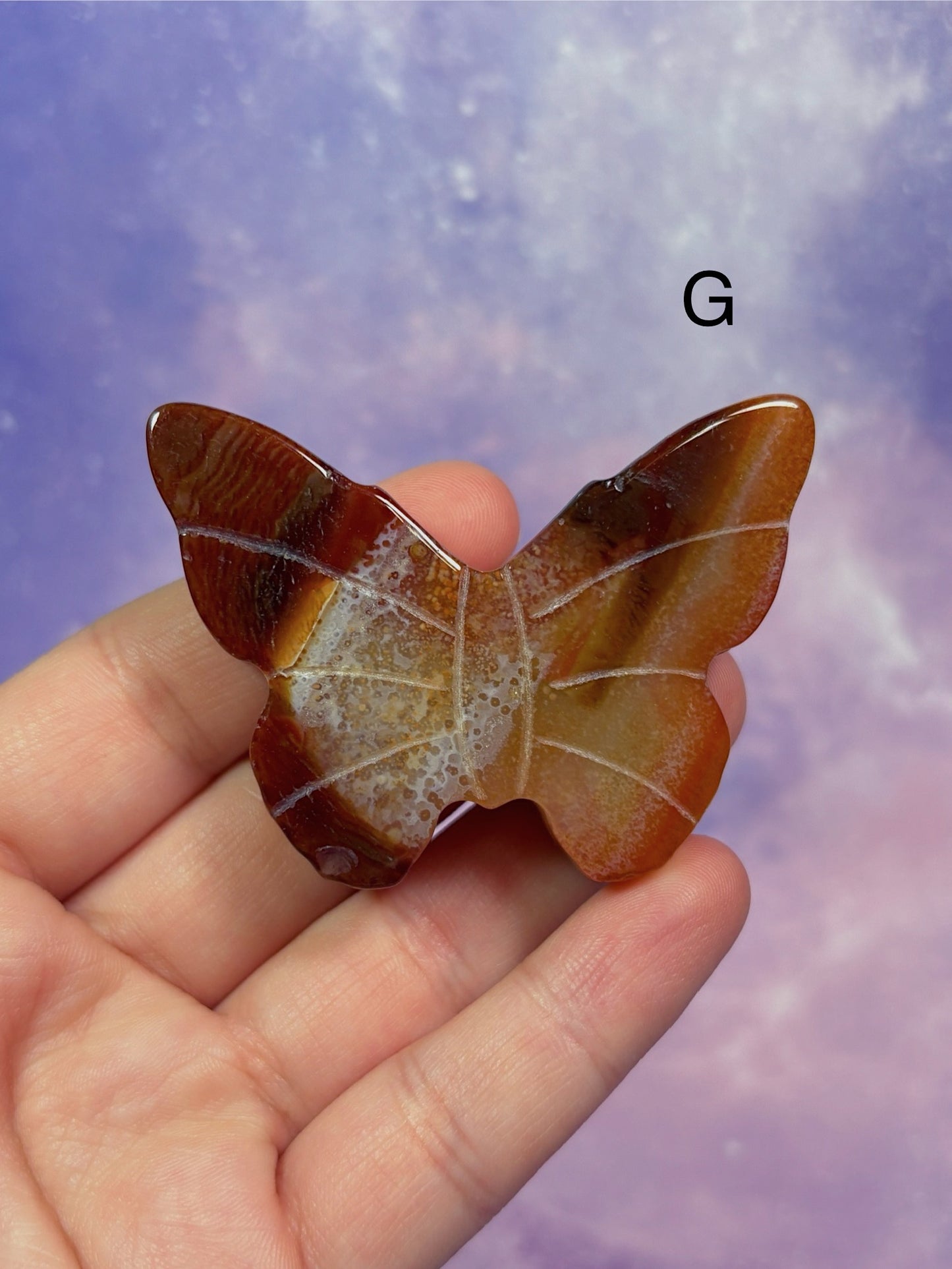 Carnelian Butterfly