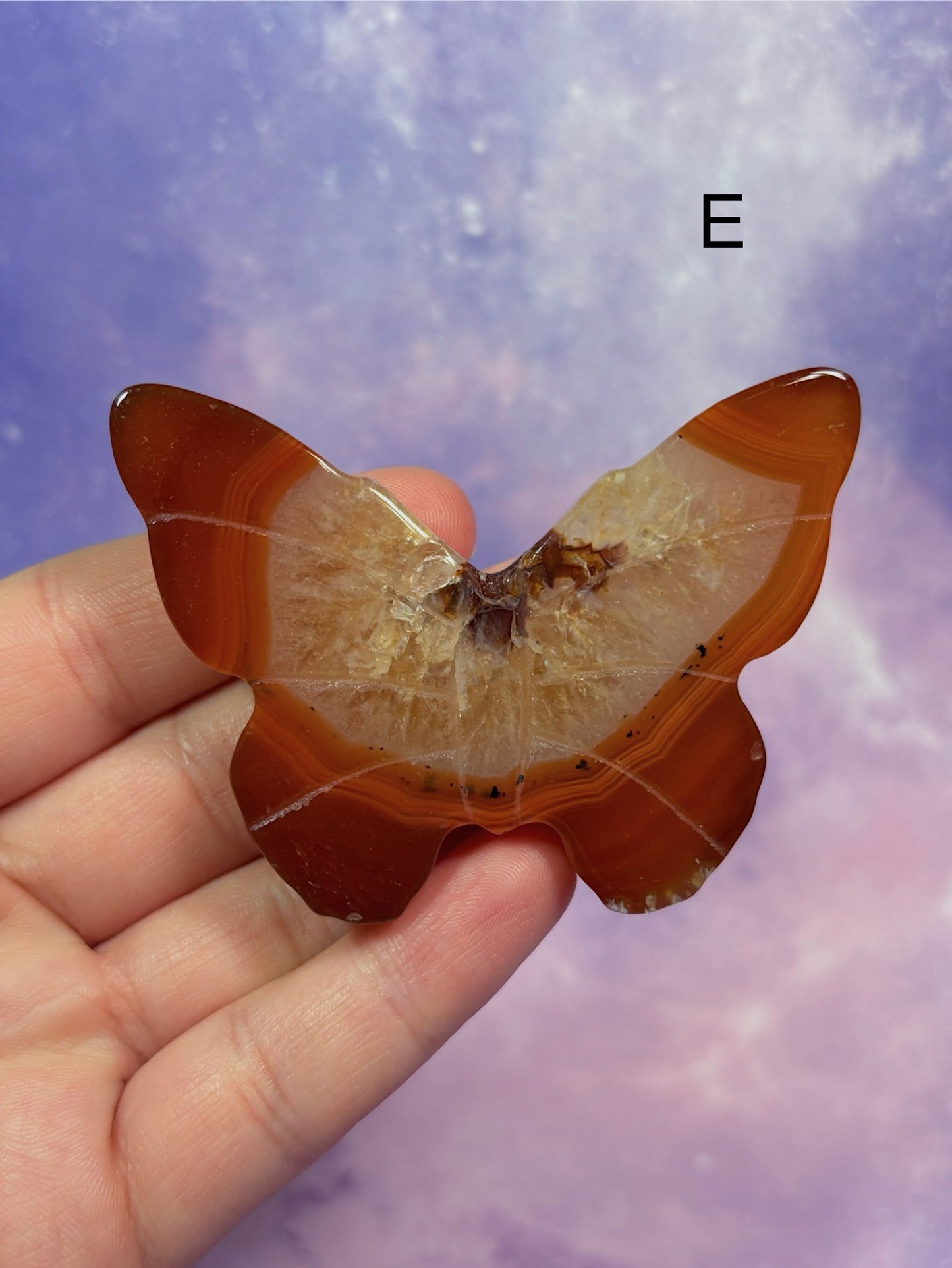 Carnelian Butterfly