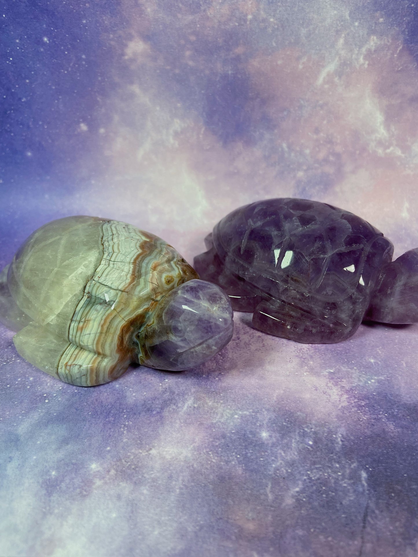 Crazy Lace Amethyst Sea Turtle