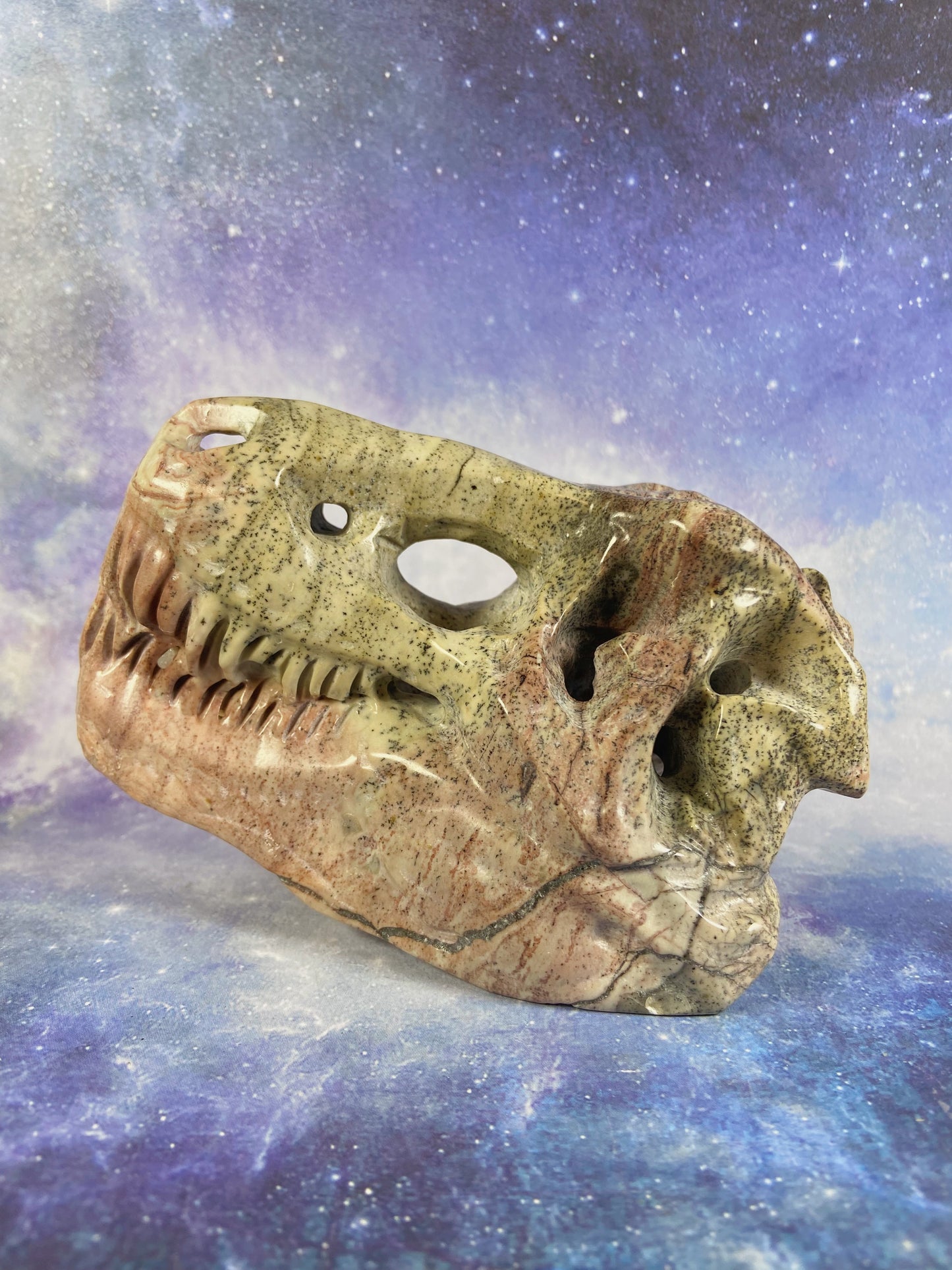 Picture Jasper Dinosaur Skull