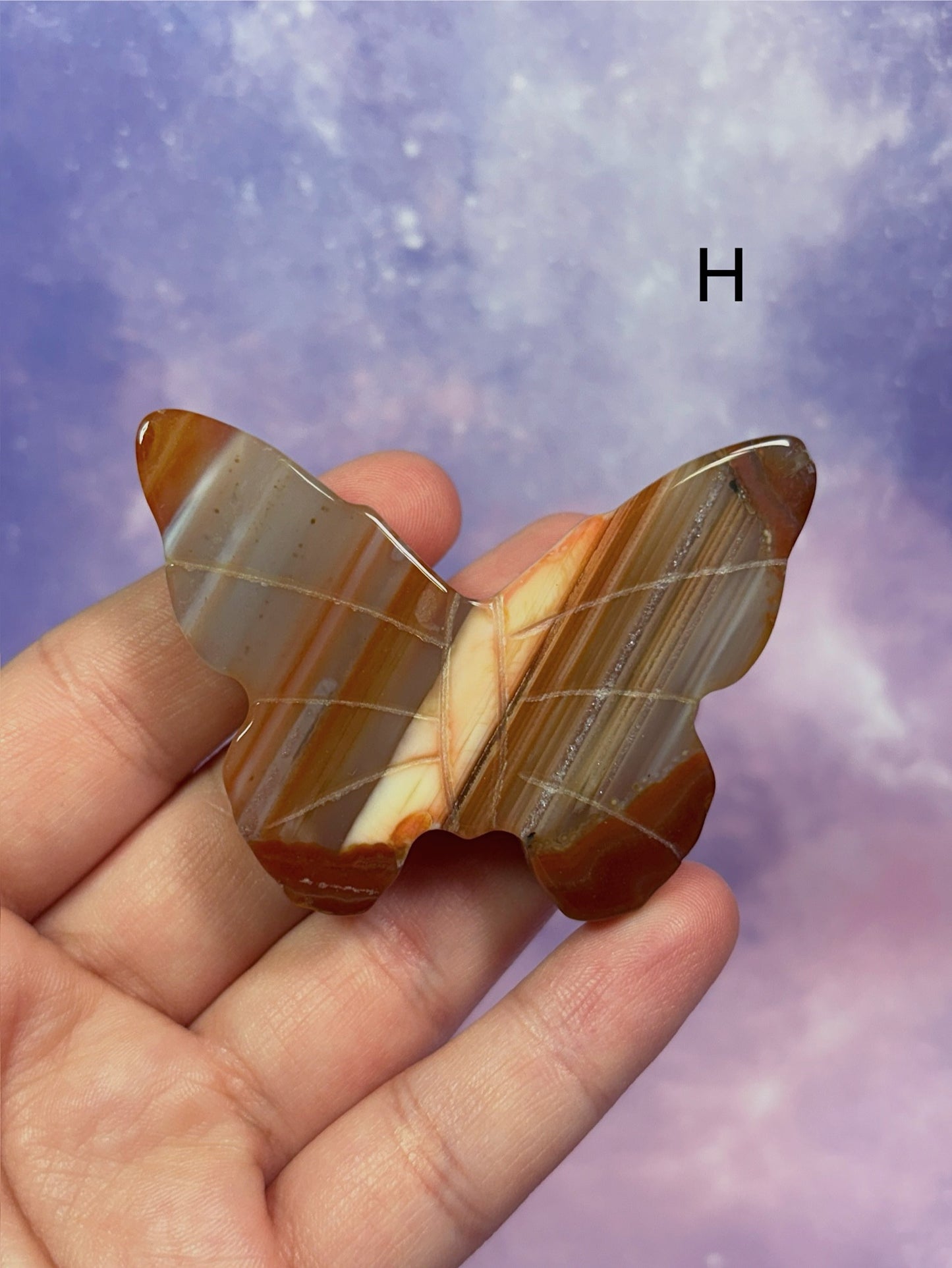 Carnelian Butterfly