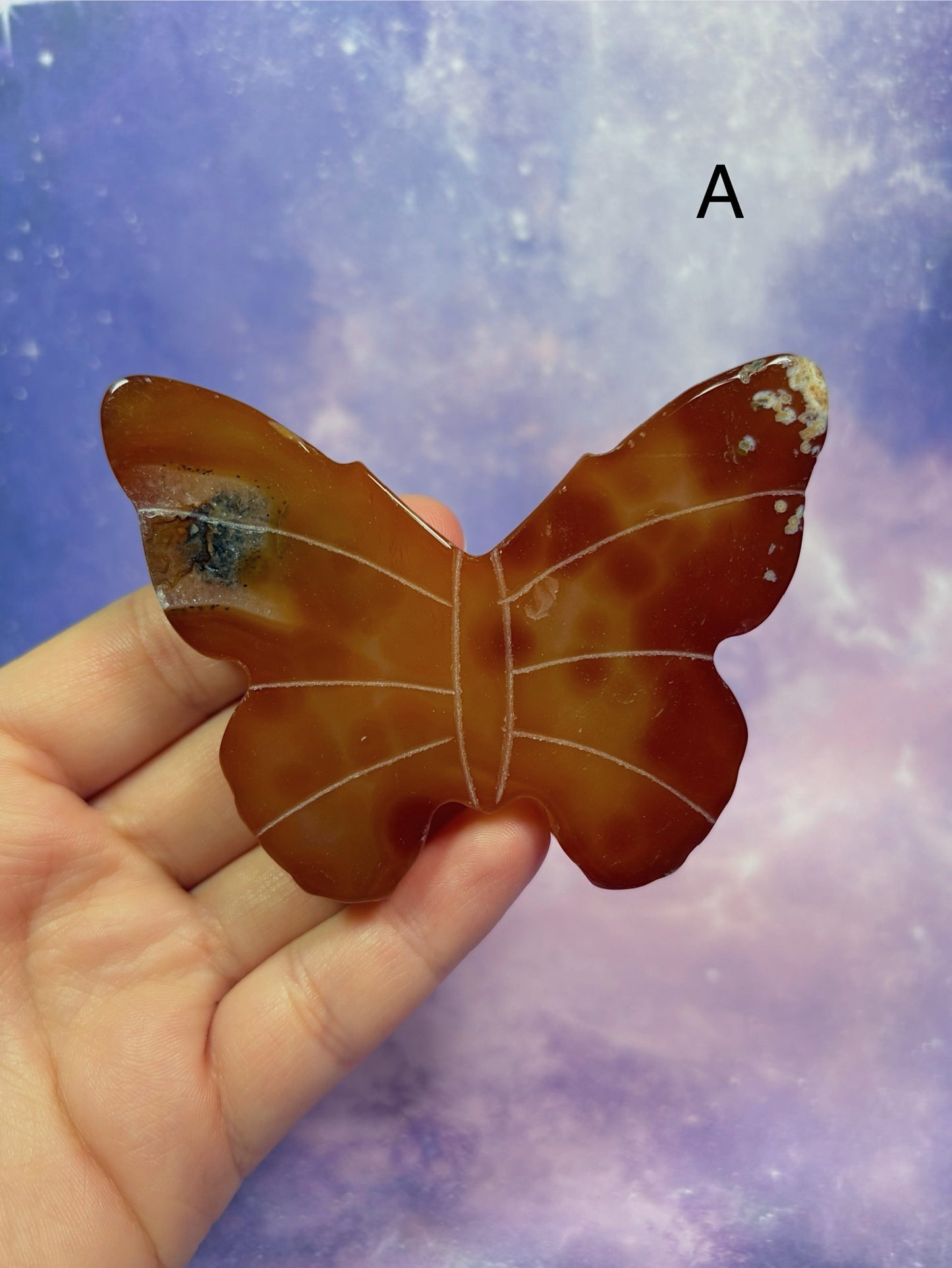 Carnelian Butterfly