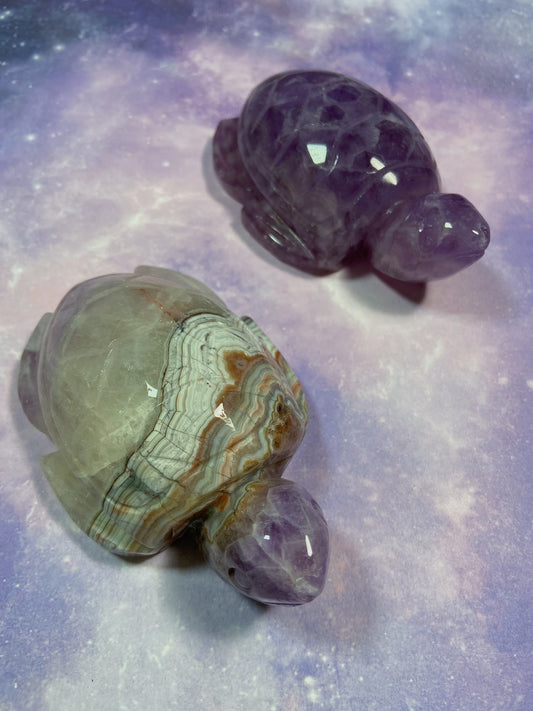 Crazy Lace Amethyst Sea Turtle