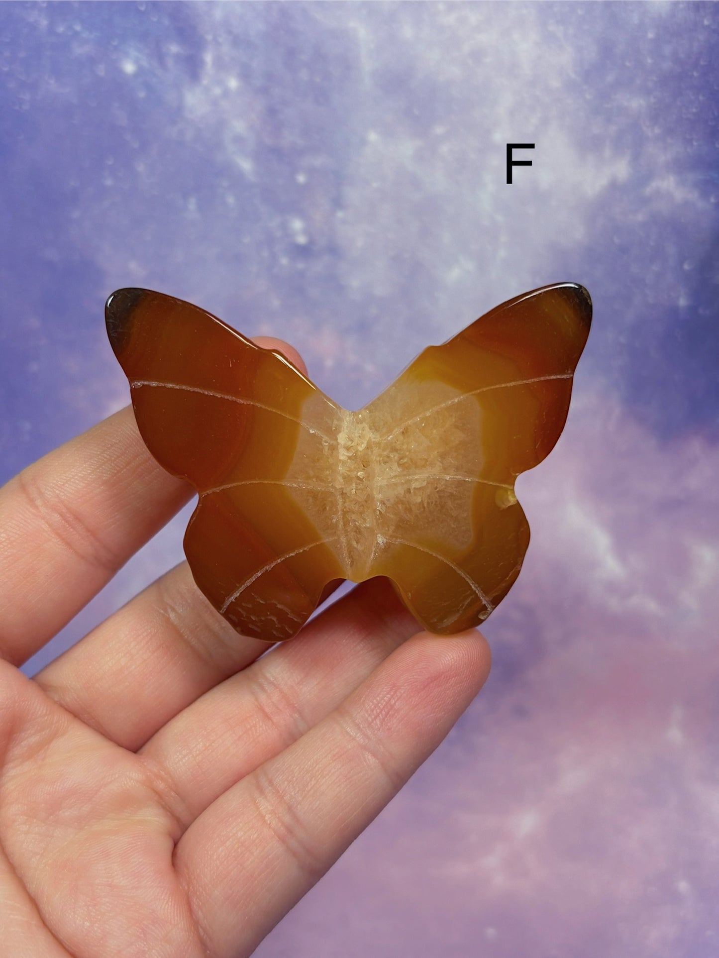 Carnelian Butterfly