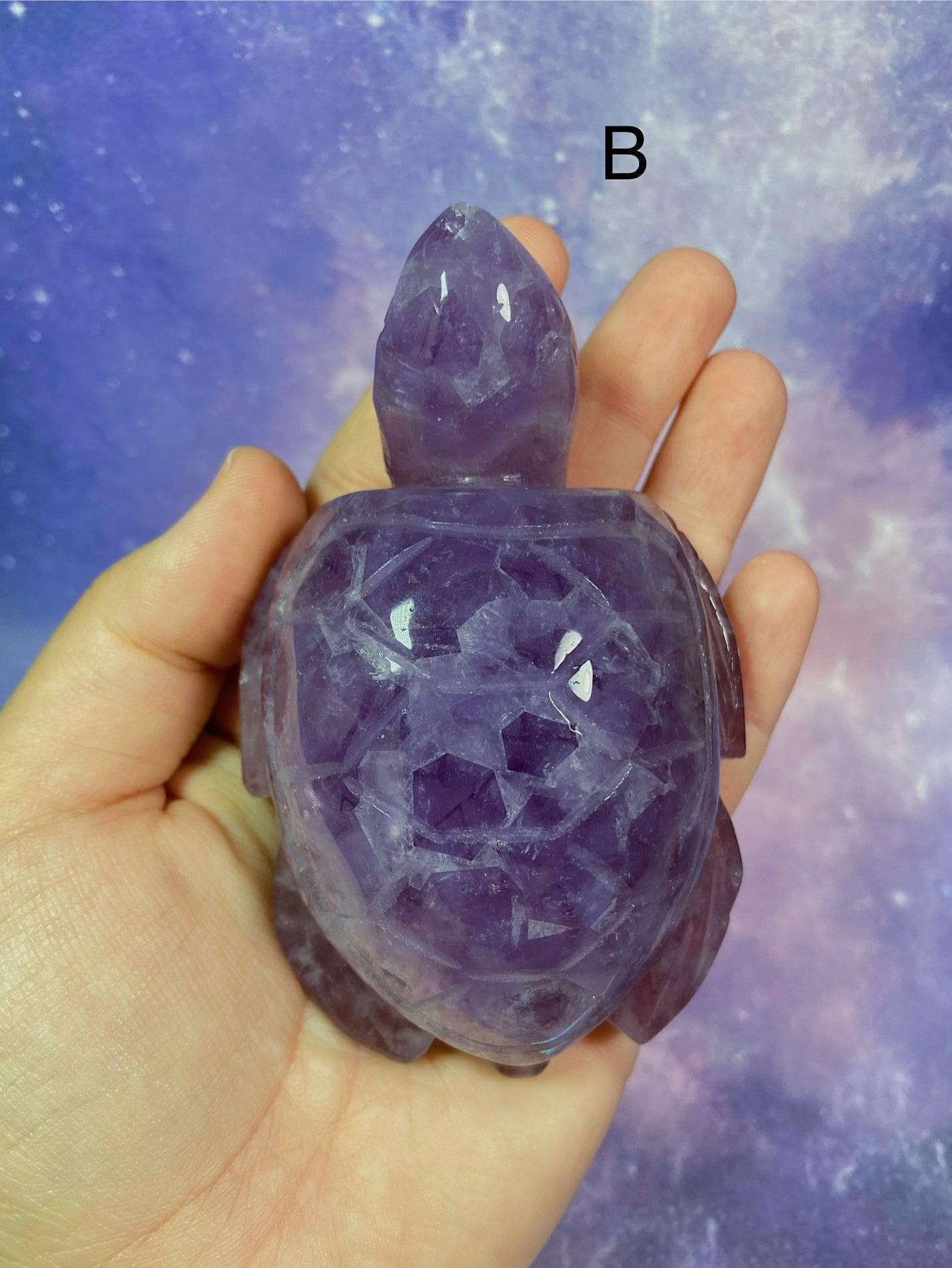 Crazy Lace Amethyst Sea Turtle